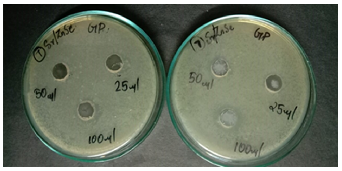 Water 13 02189 g008 550