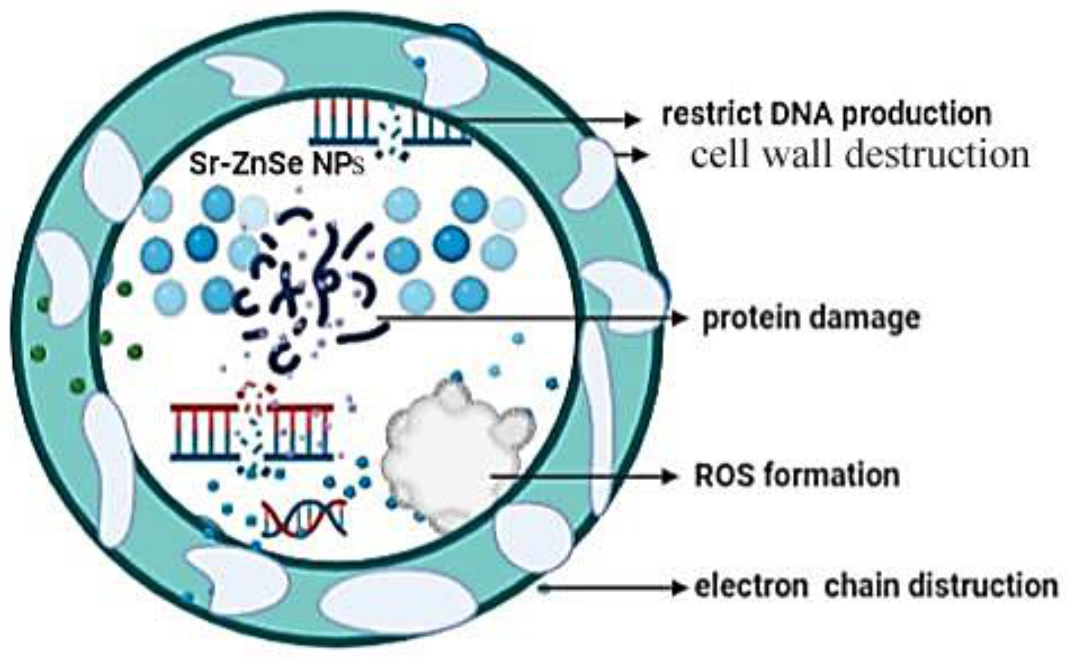 Water 13 02189 g009 550