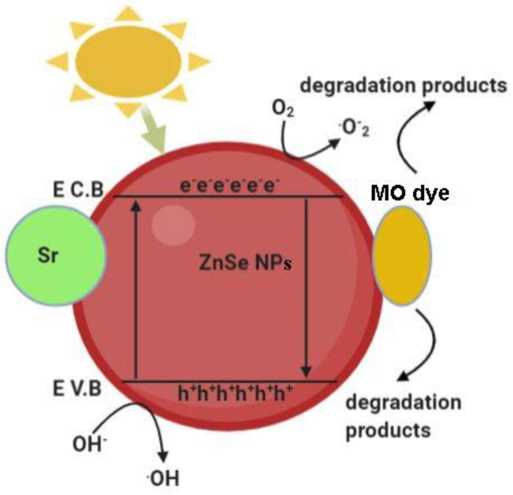 Water 13 02189 g012 550