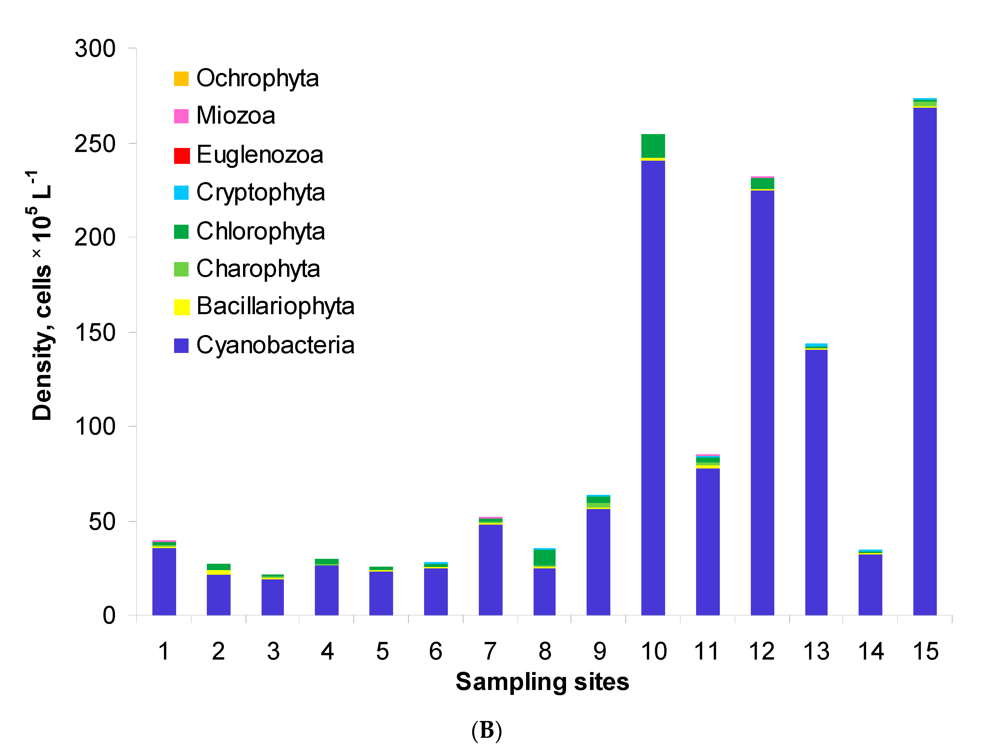 Water 13 02195 g002b Water 13 02195 g002b