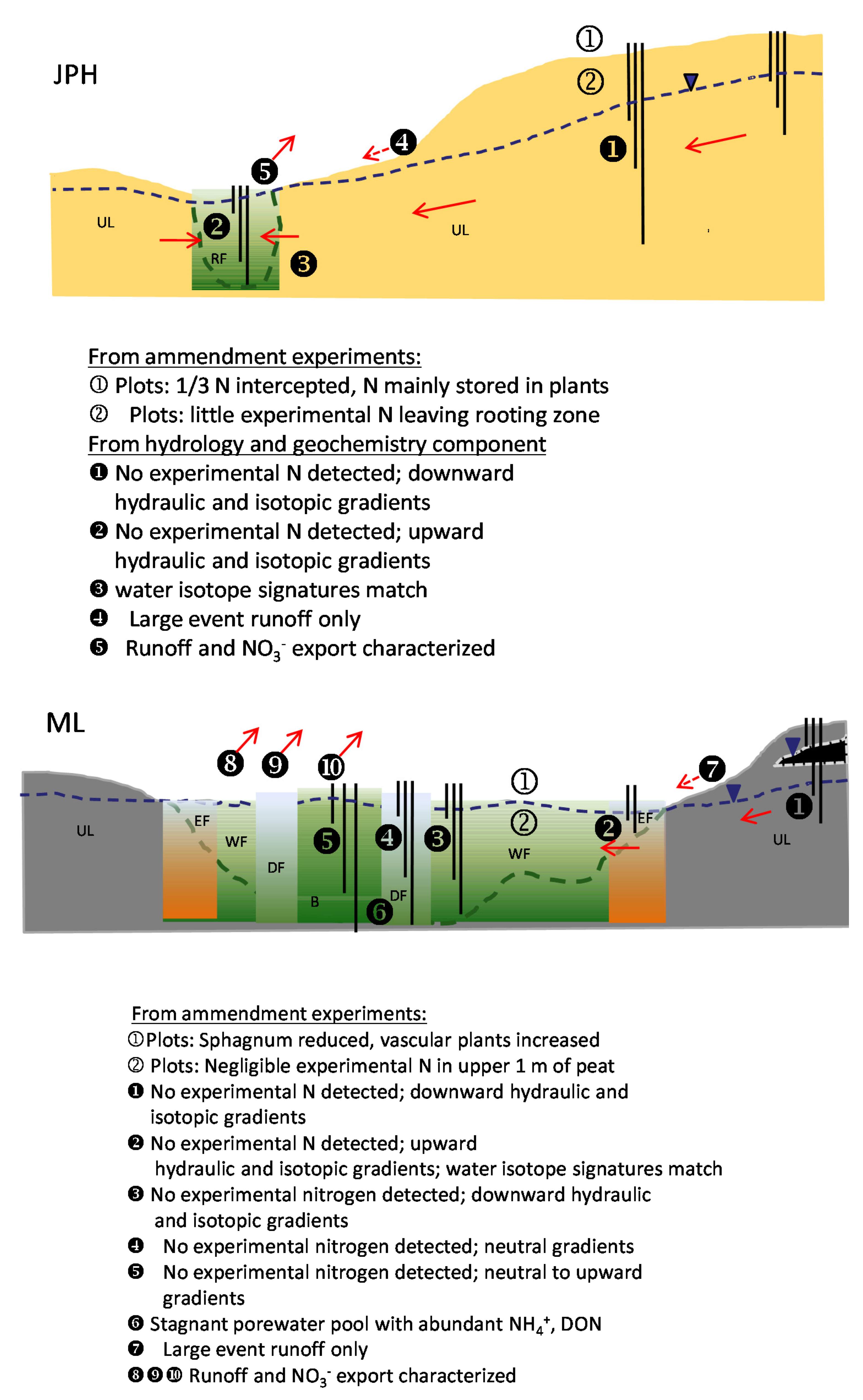 Water 13 02204 g012 550