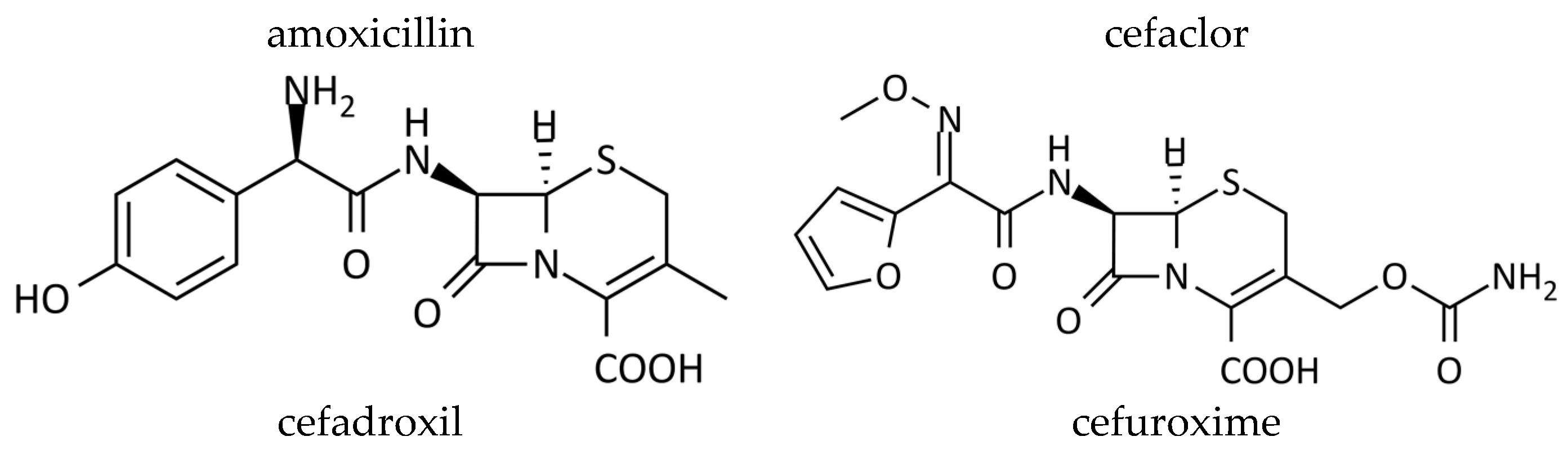 gabapentin lactam toxicity