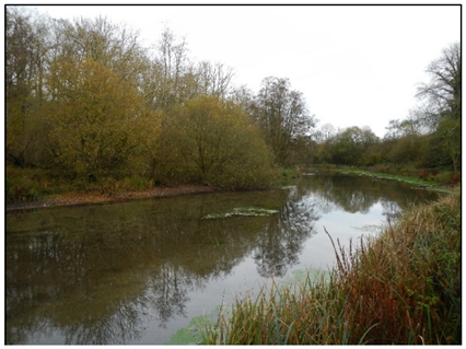 Water 13 02239 i015