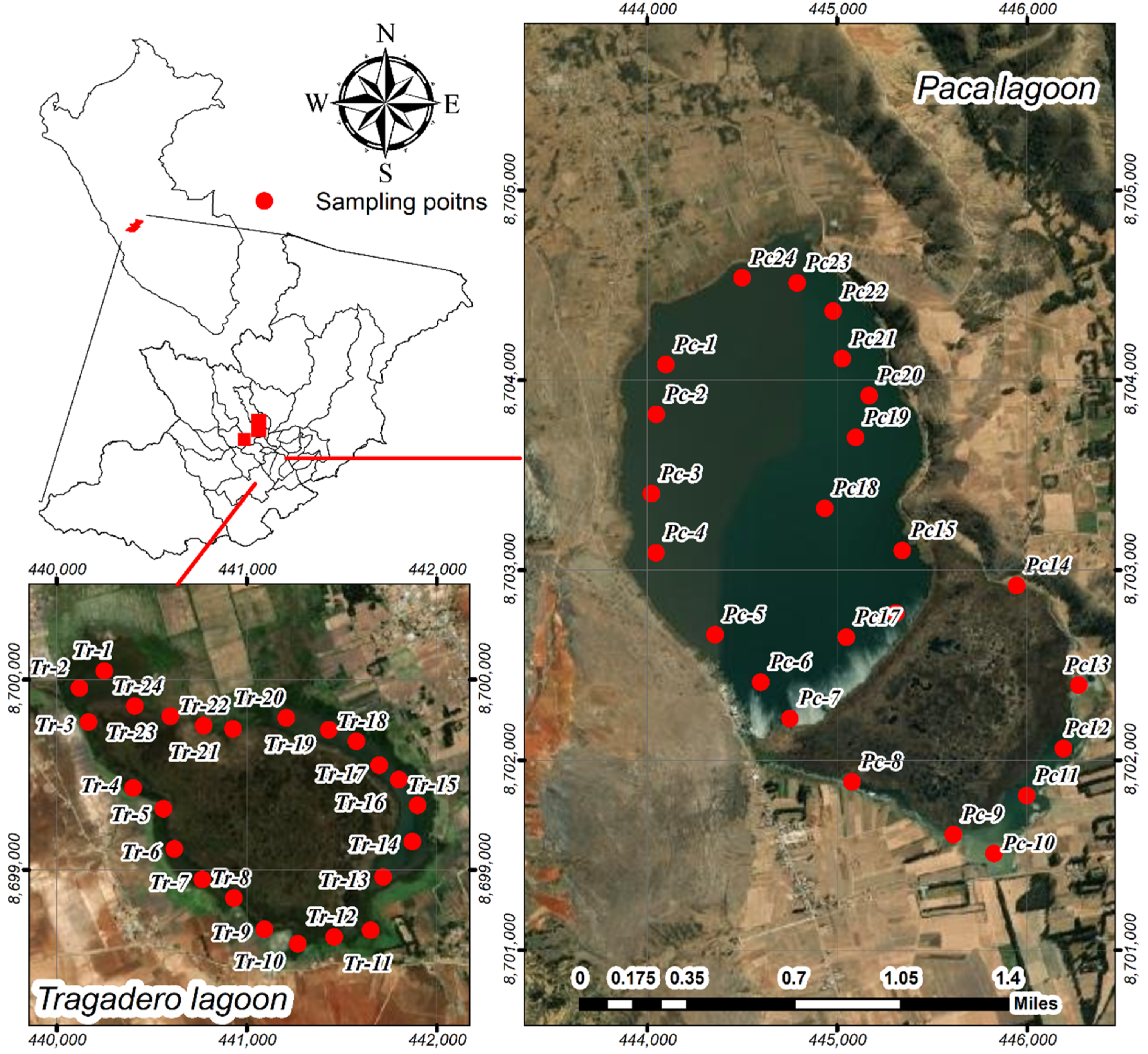 Water 13 02256 g001 550