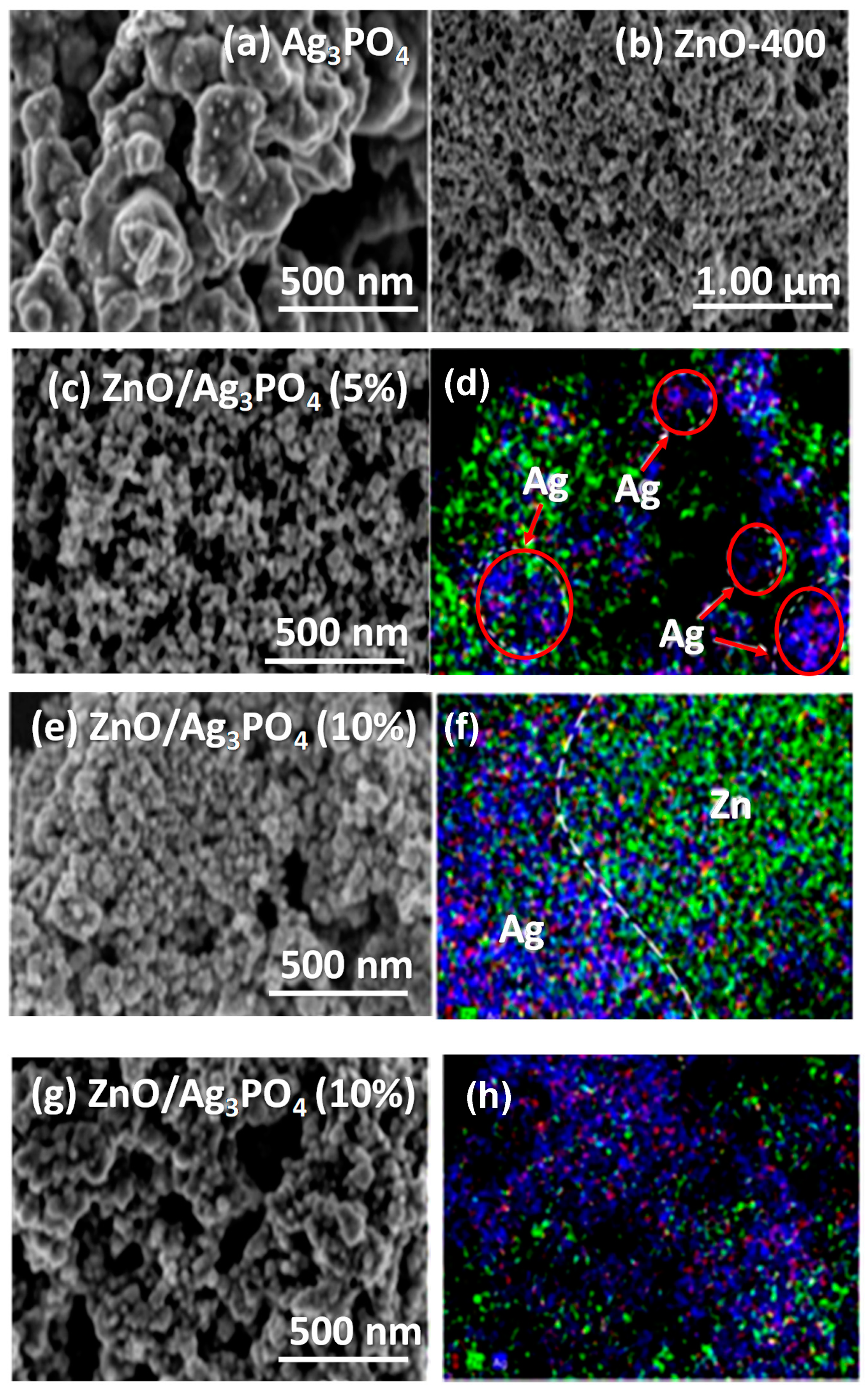 Water 13 02264 g003 550