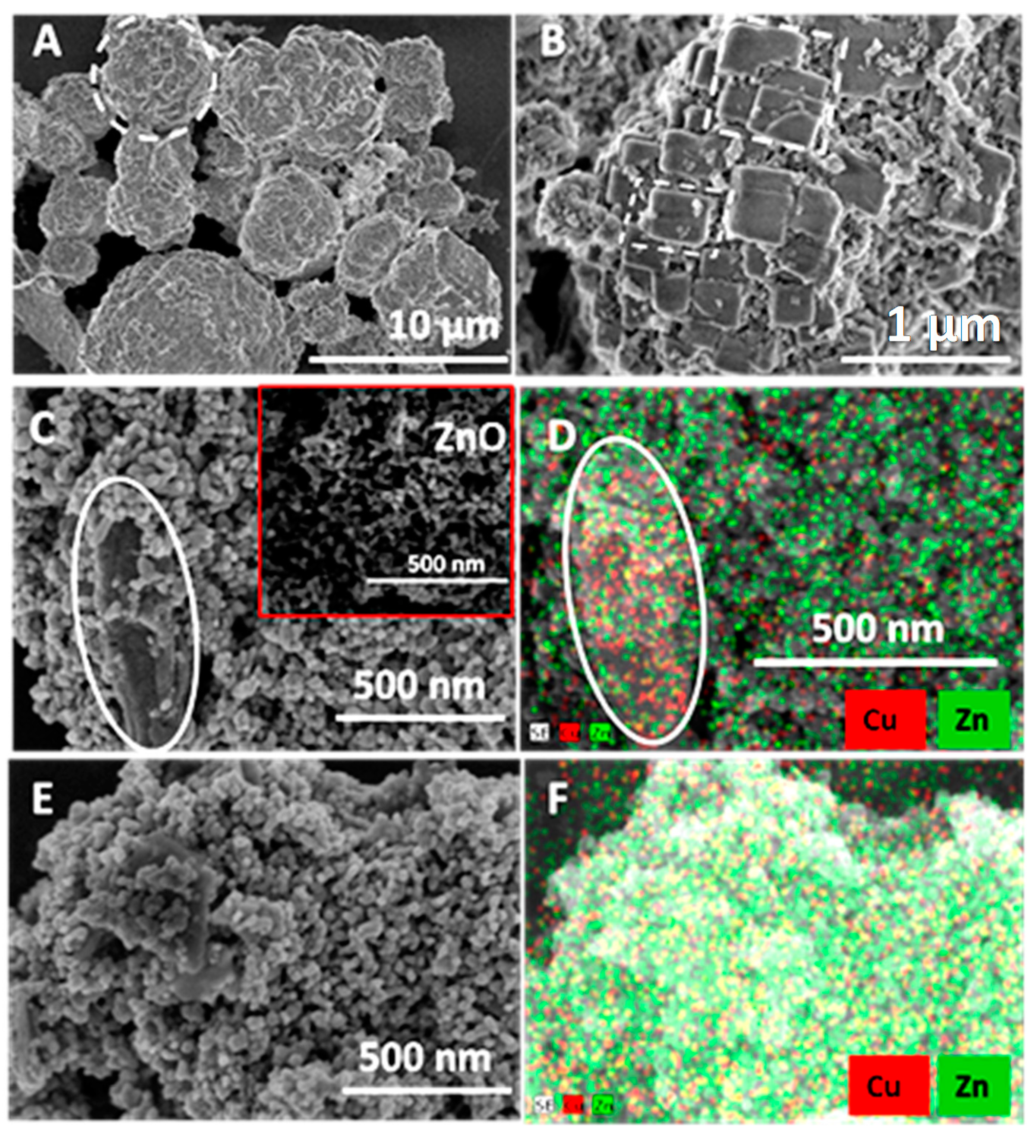 Water 13 02264 g004 550