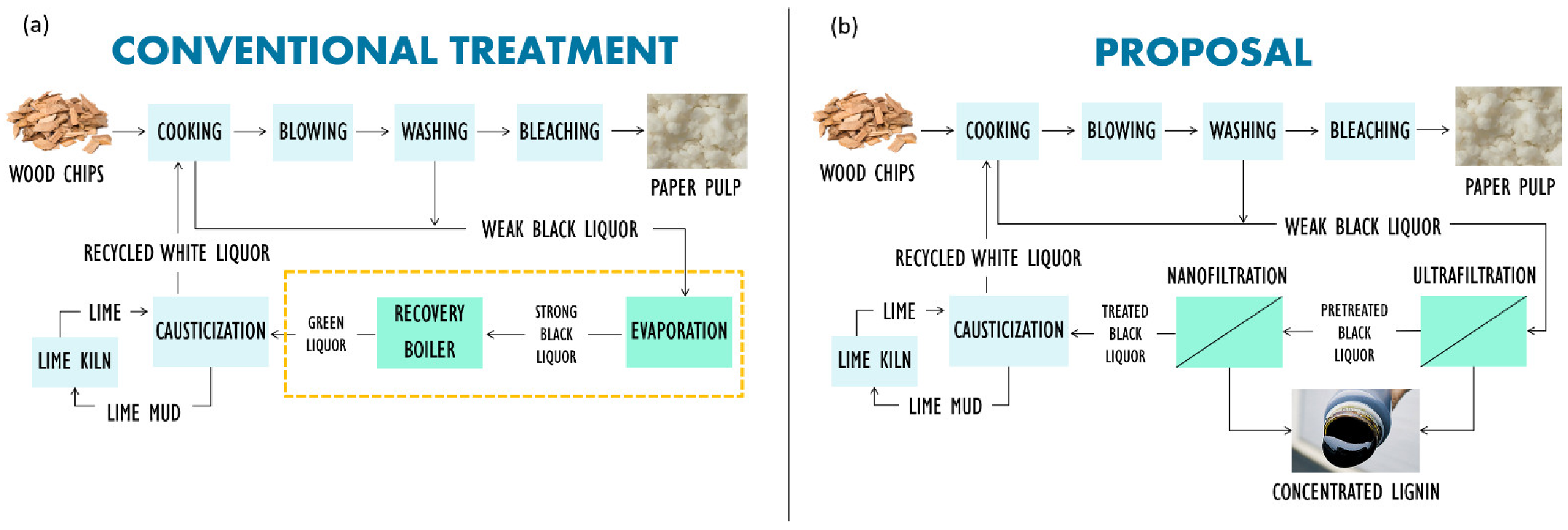 Water 13 02270 g001 550