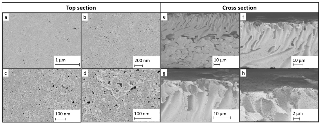 Water 13 02270 g002 550