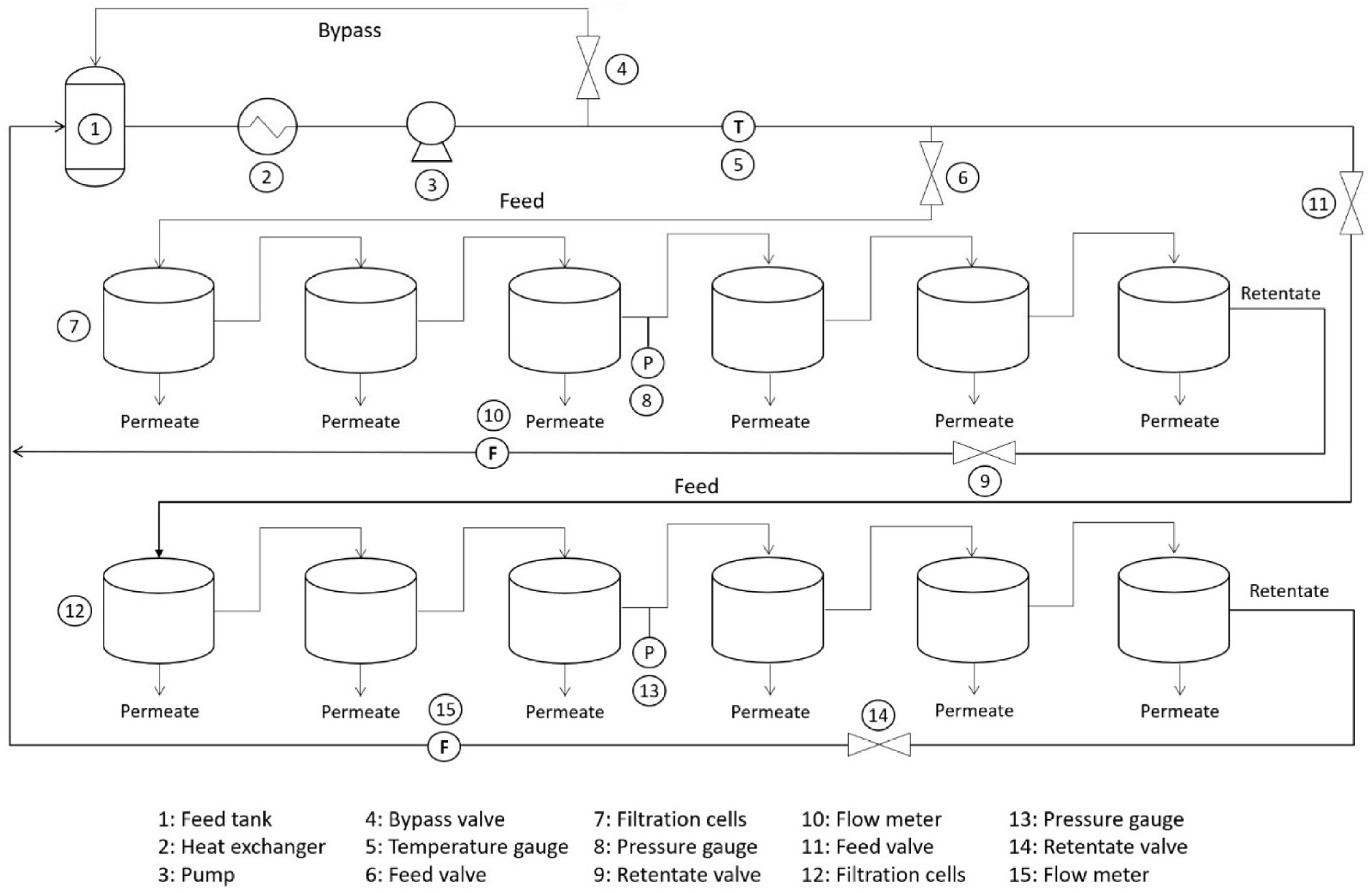 Water 13 02270 g004 550