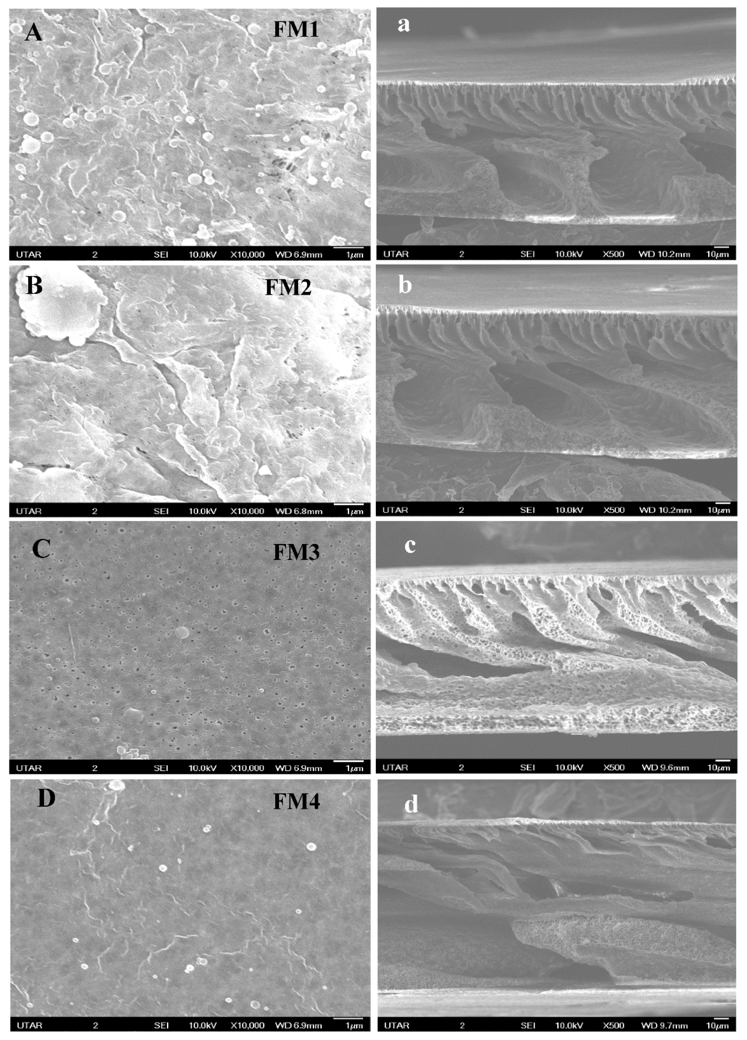 Water 13 02282 g010 550