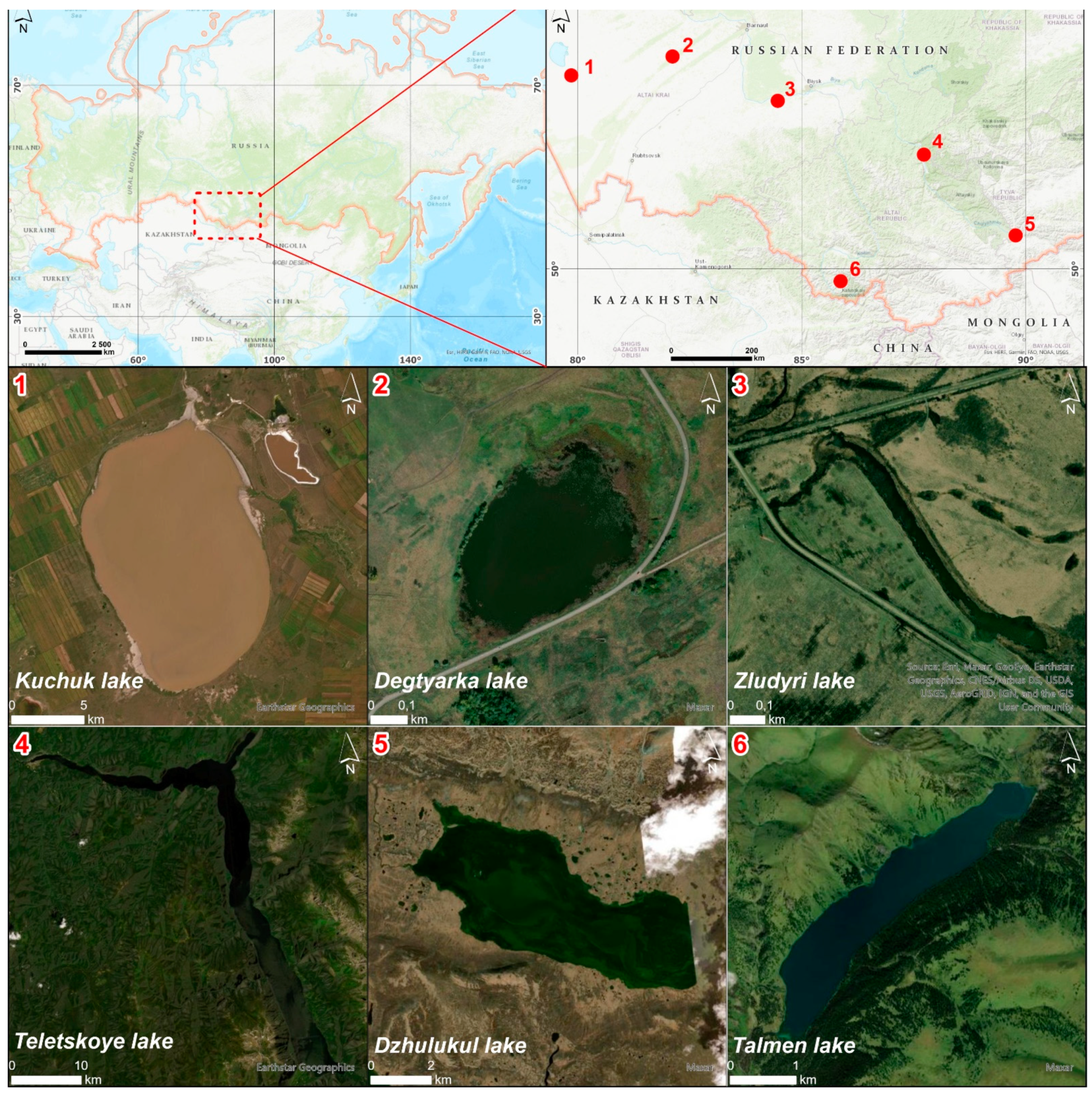 Water 13 02287 g001 550