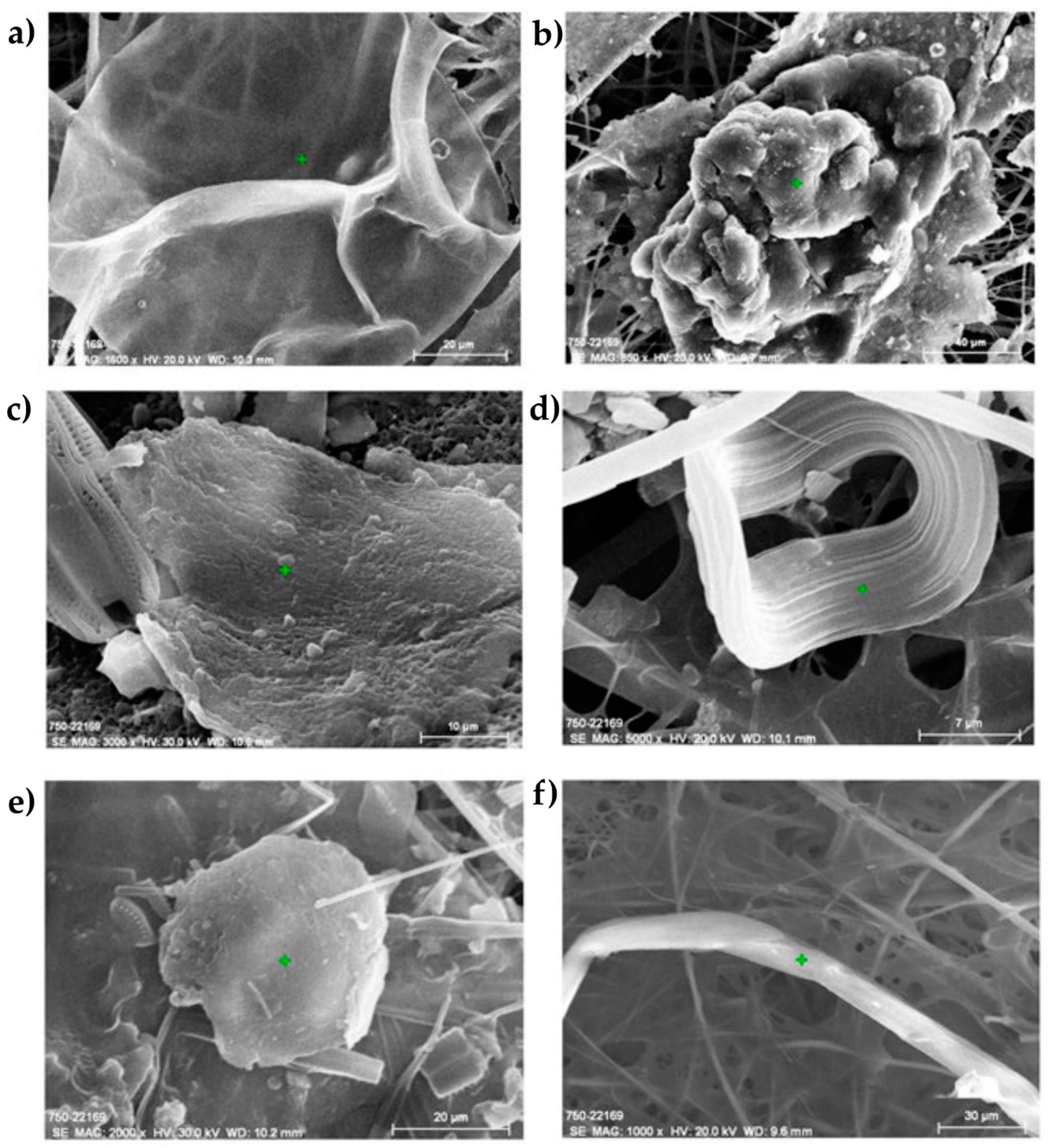 Water 13 02287 g006 550