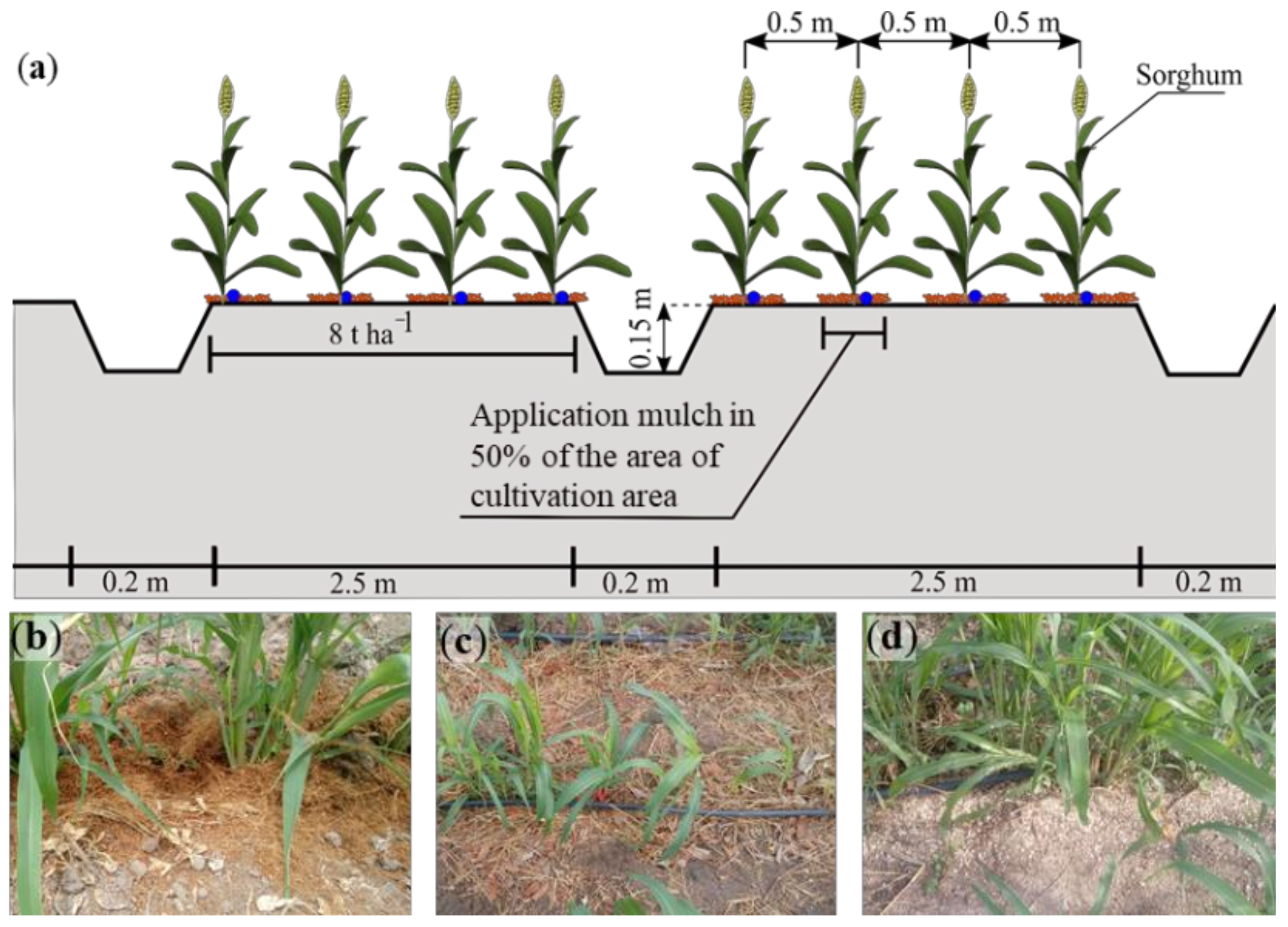 Water 13 02288 g002 Water 13 02288 g002