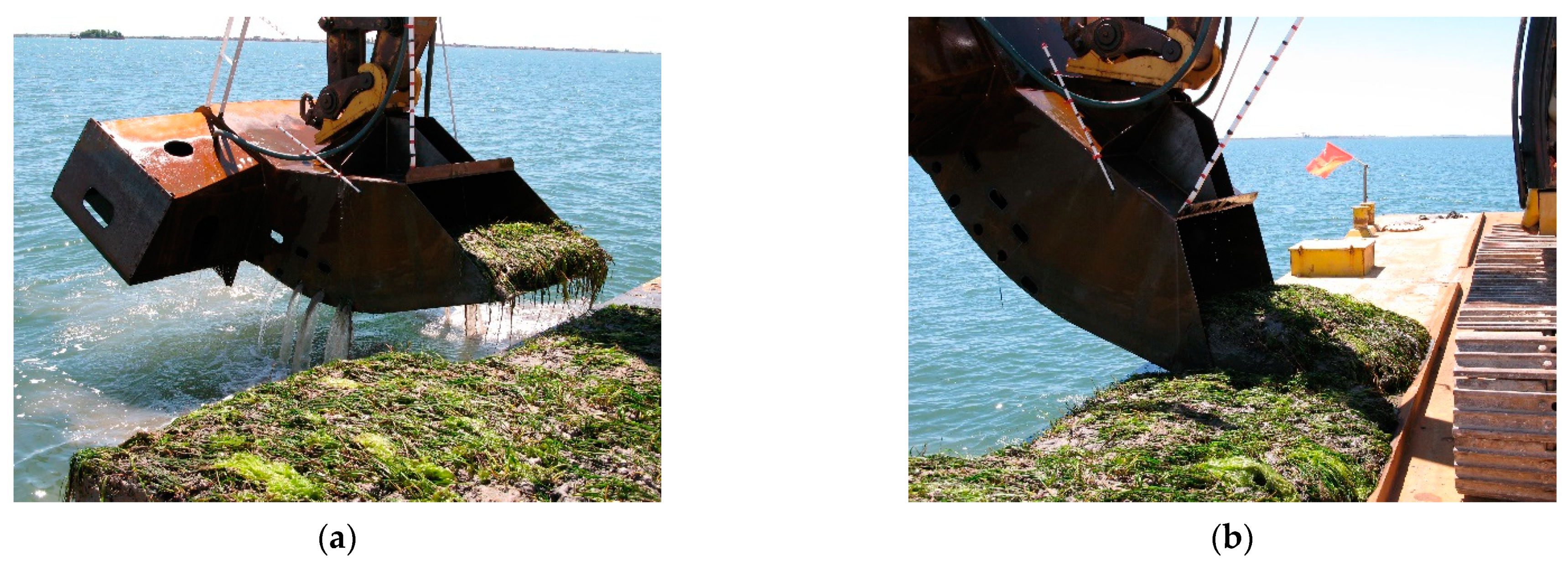 Water 13 02289 g006a