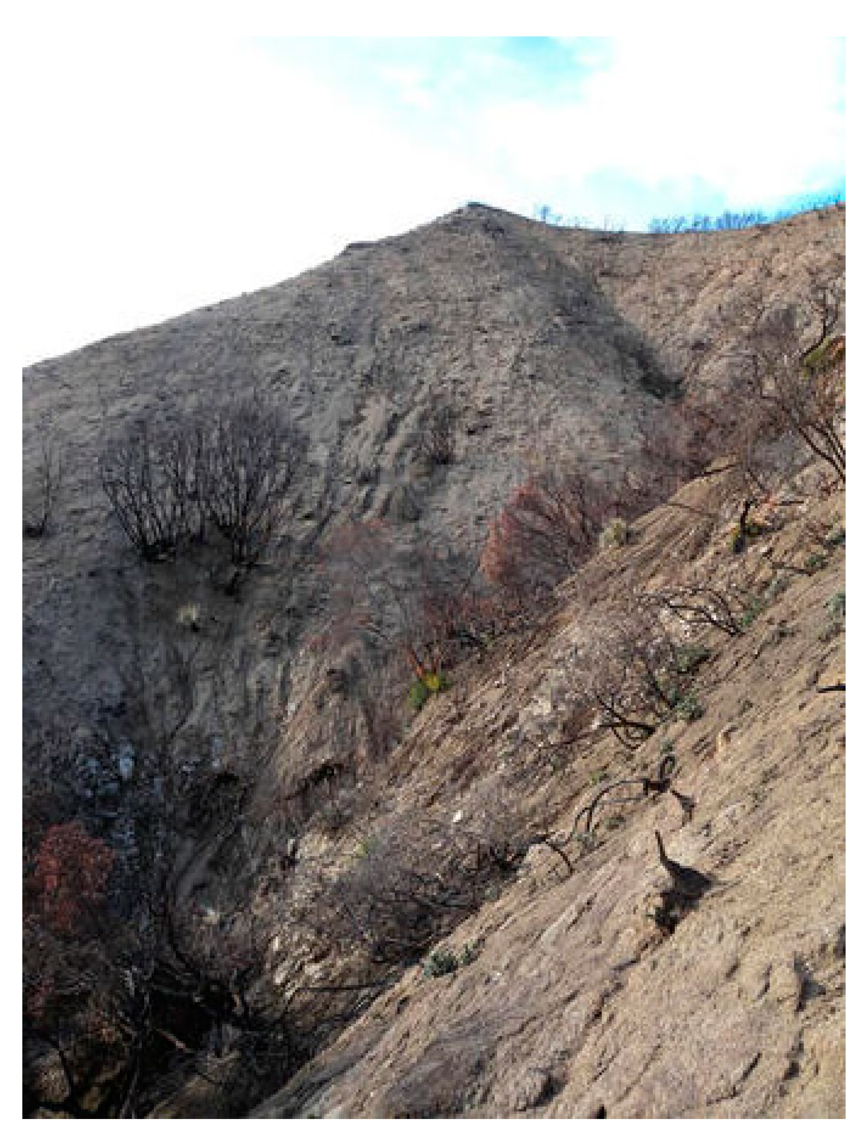 Water 13 02303 g004 550