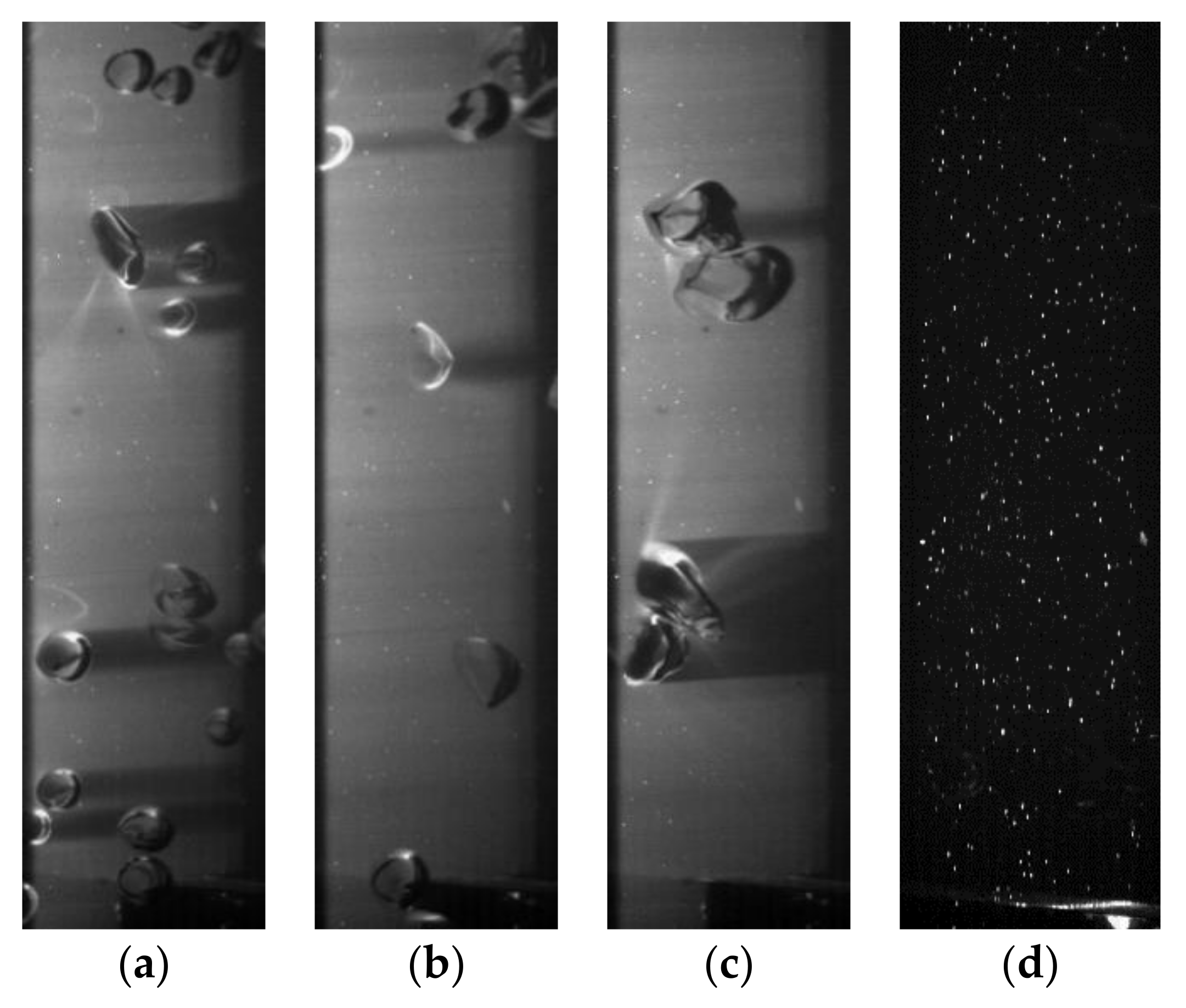 Water 13 02318 g002 550