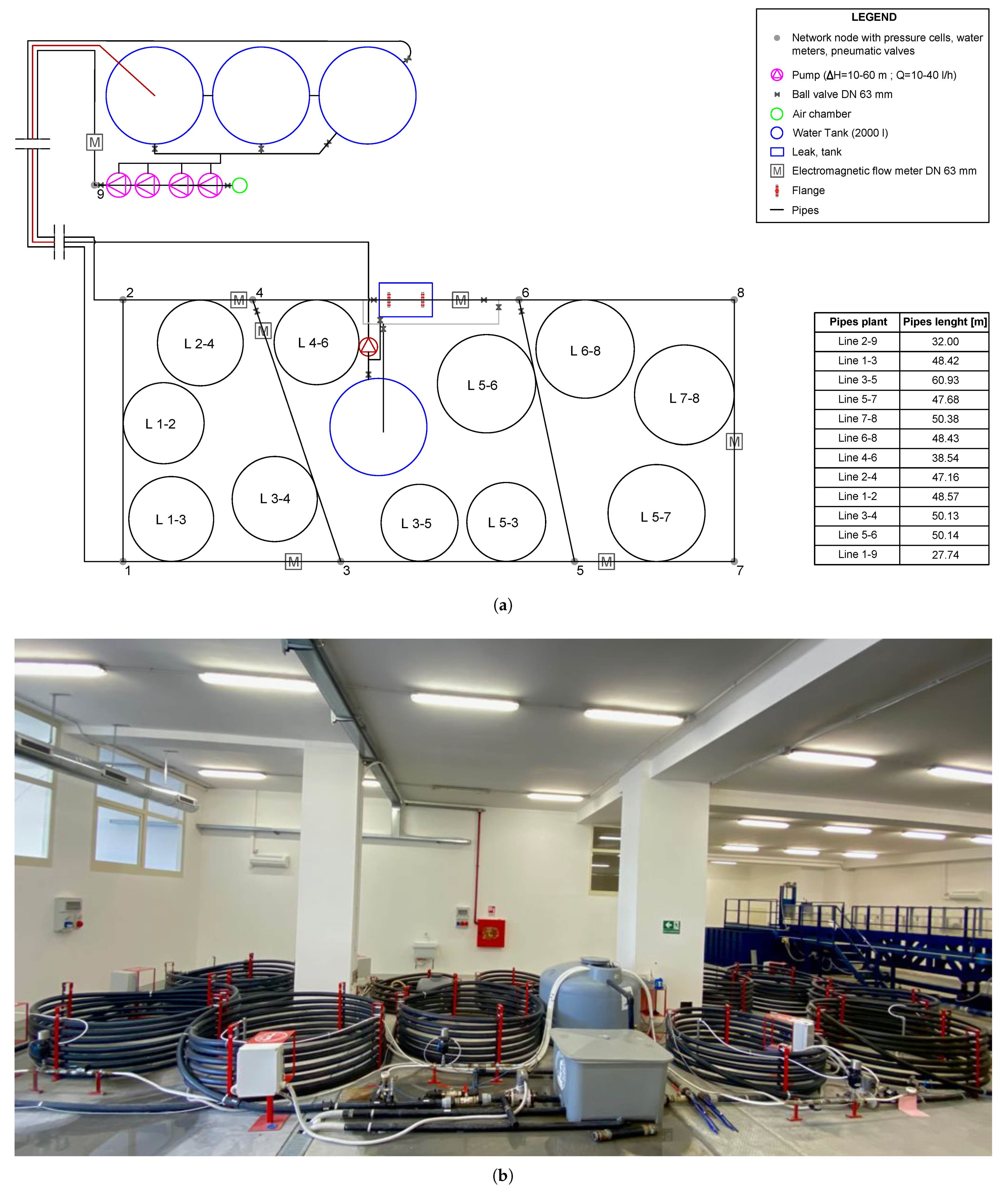 Water 13 02321 g001 550