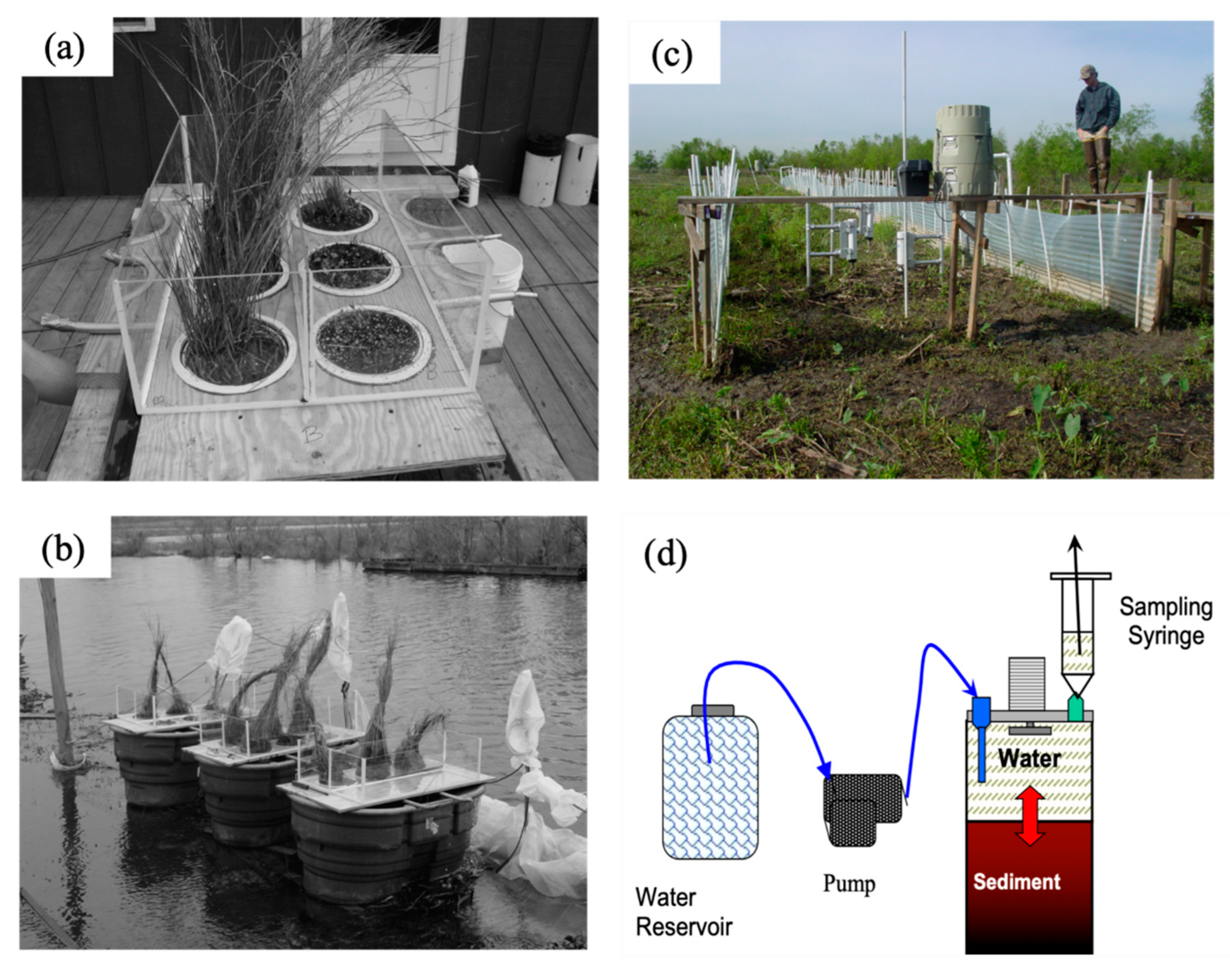 Water 13 02323 g003 550