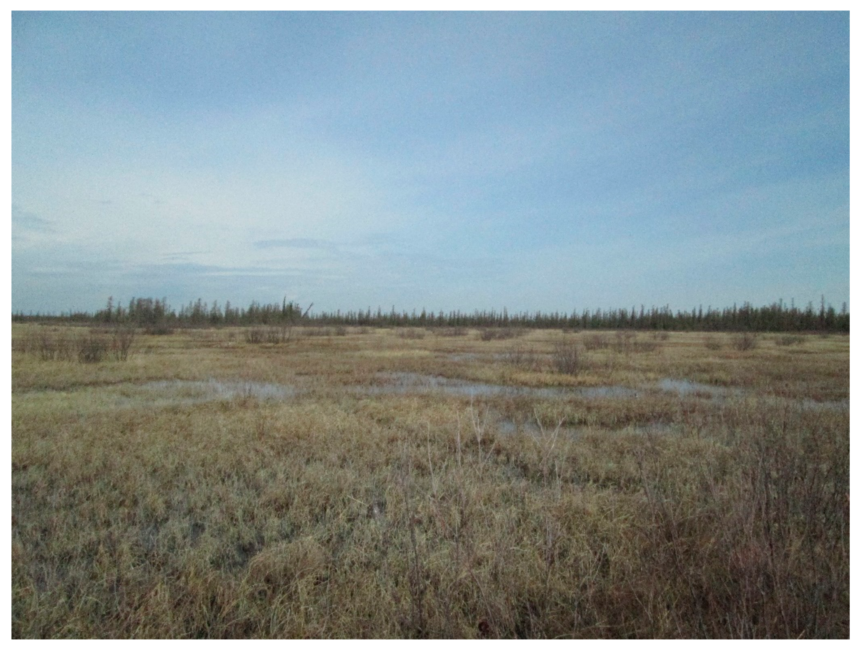 Water 13 02327 g007 550