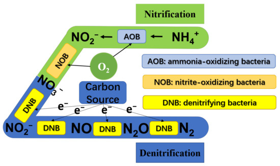 Application of Internal Carbon Source from Sewage Sludge: A