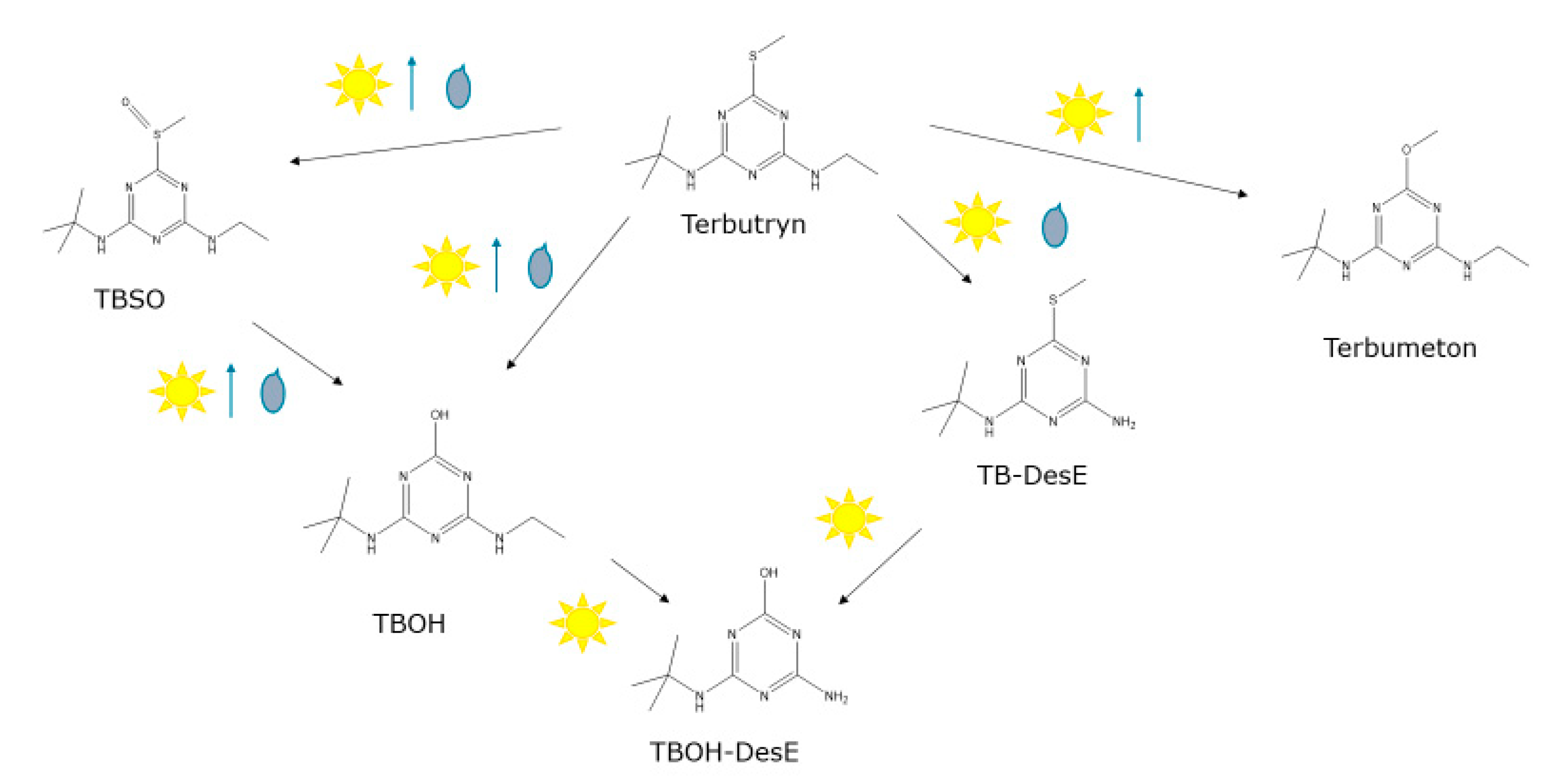 Water 13 02390 g006 550