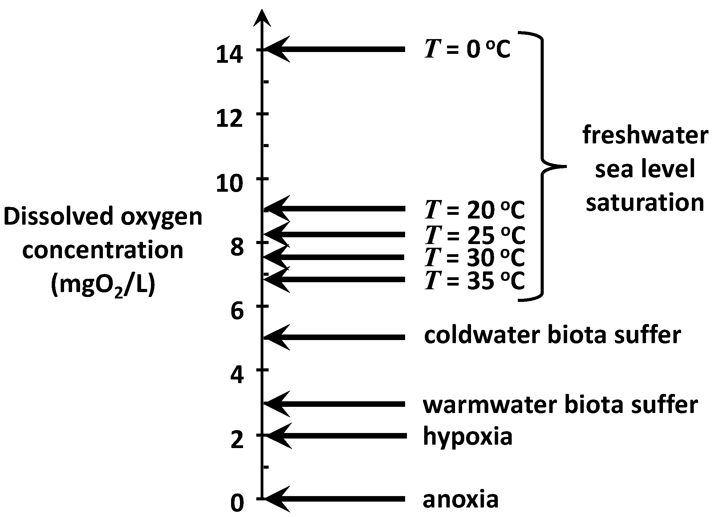 Water 13 02408 g003 550