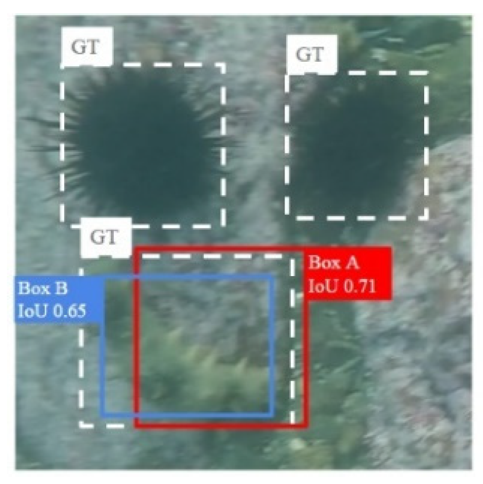 Water 13 02420 g005 550