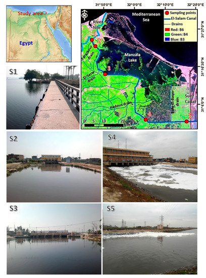 Water 13 02428 g001 550