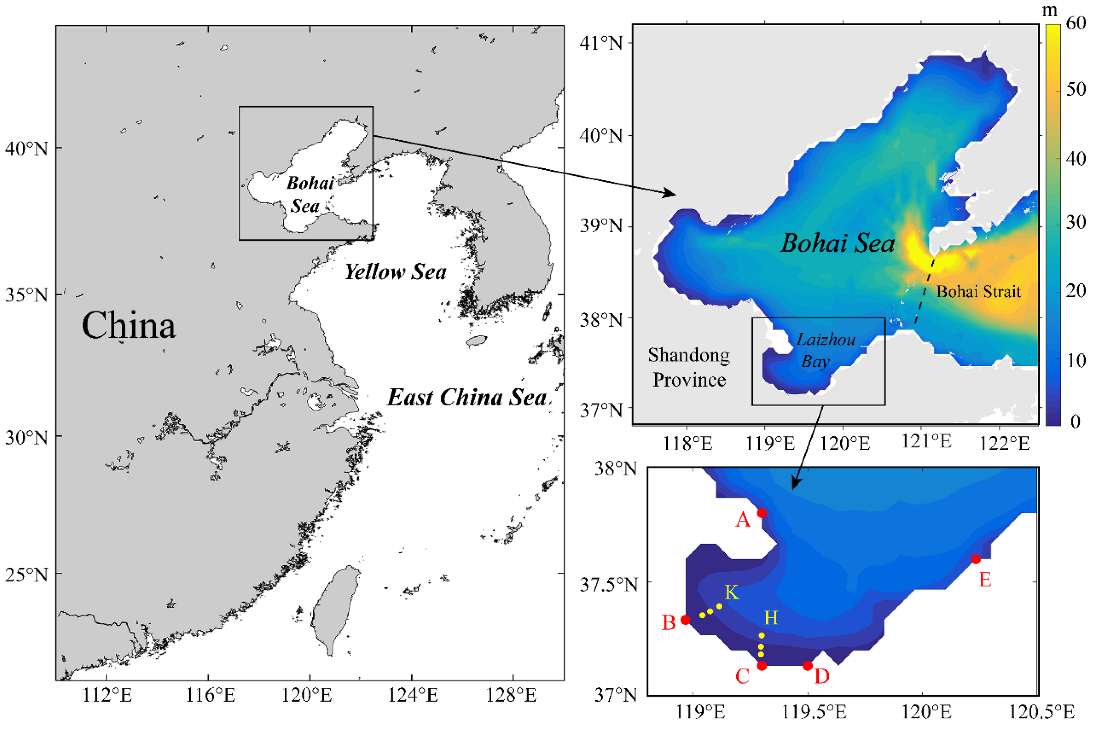 Water 13 02439 g001 550