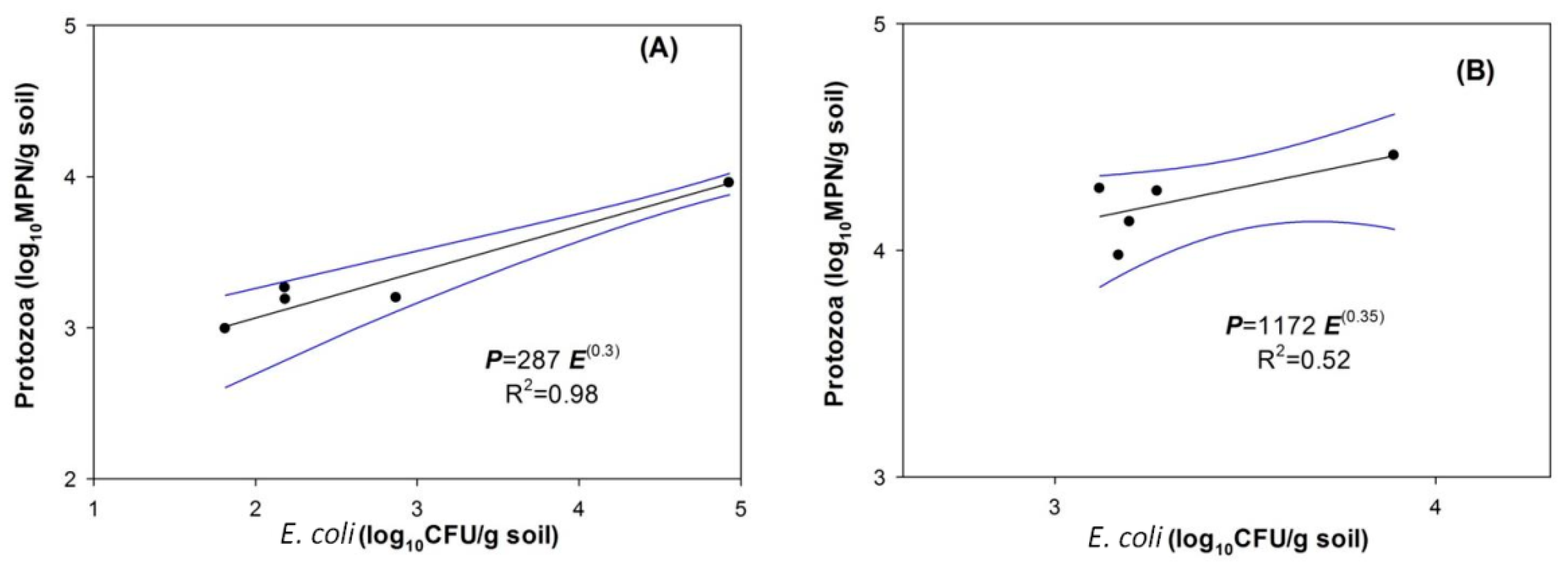 Water Free FullText A Sustainable and LowCost Soil Filter Column