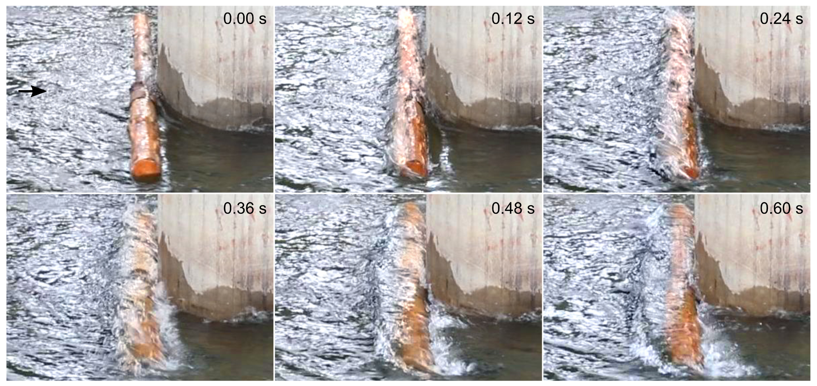 Water 13 02475 g009 550