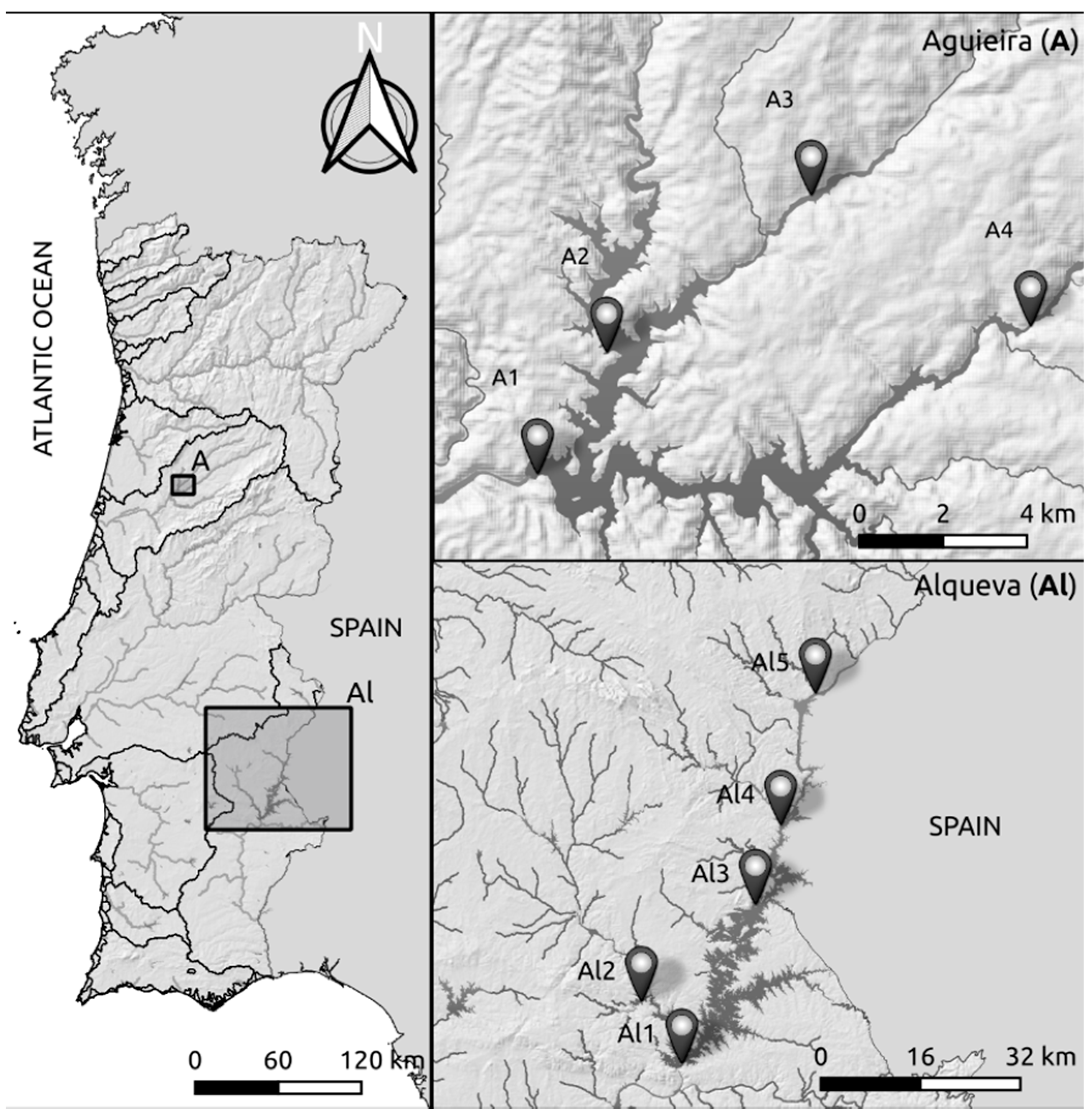 Water 13 02479 g001 Water 13 02479 g001