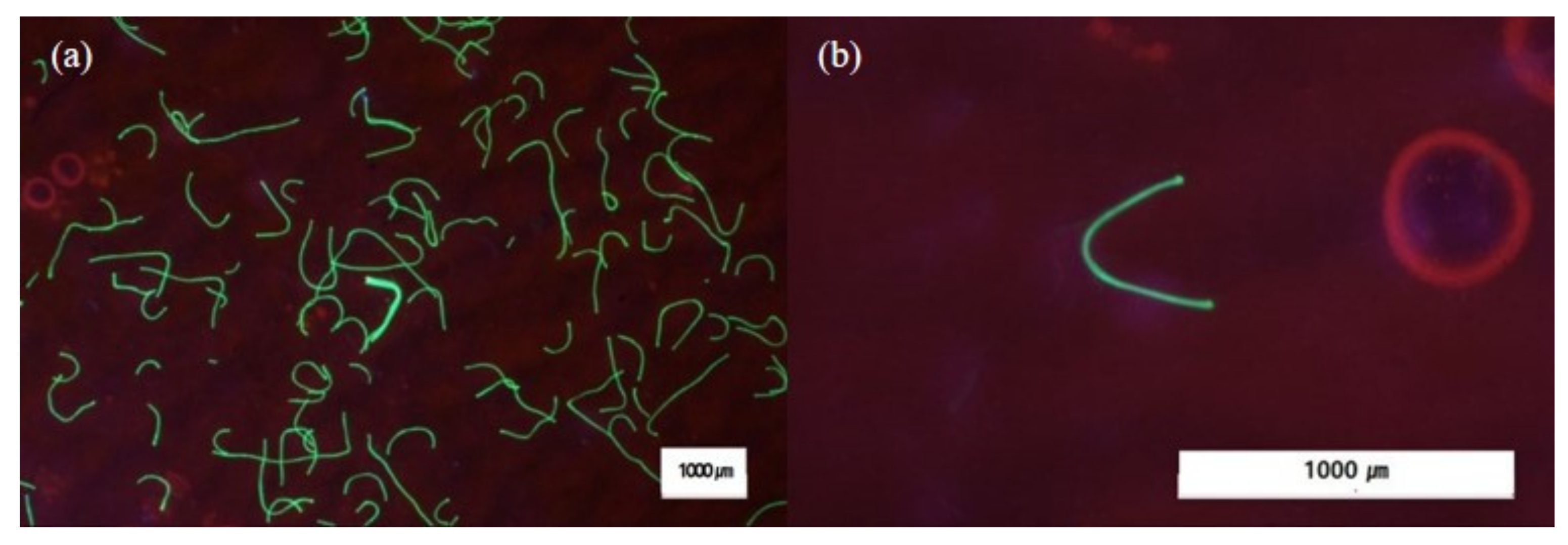 Water 13 02480 g002 550