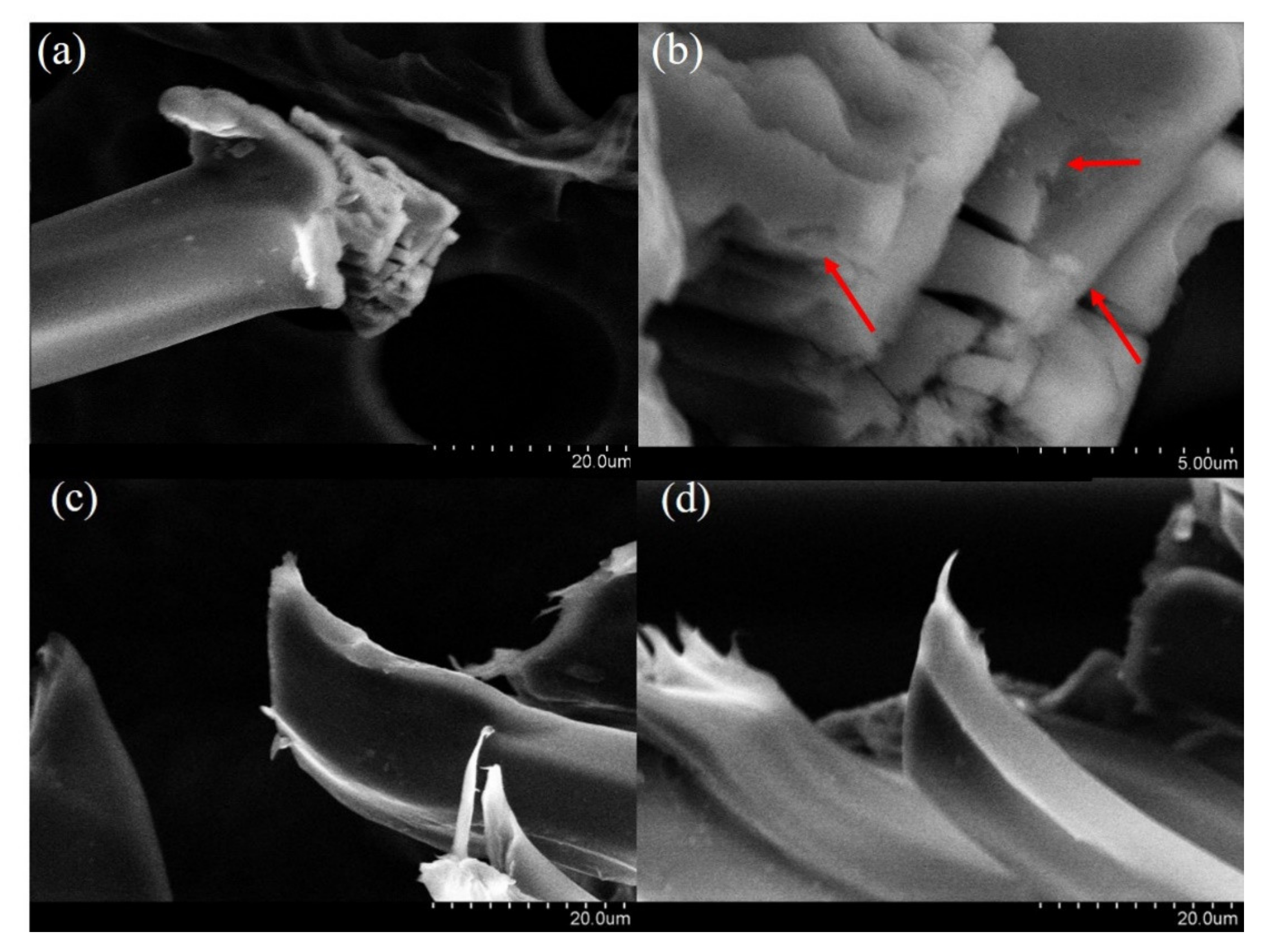 Water 13 02480 g003 550