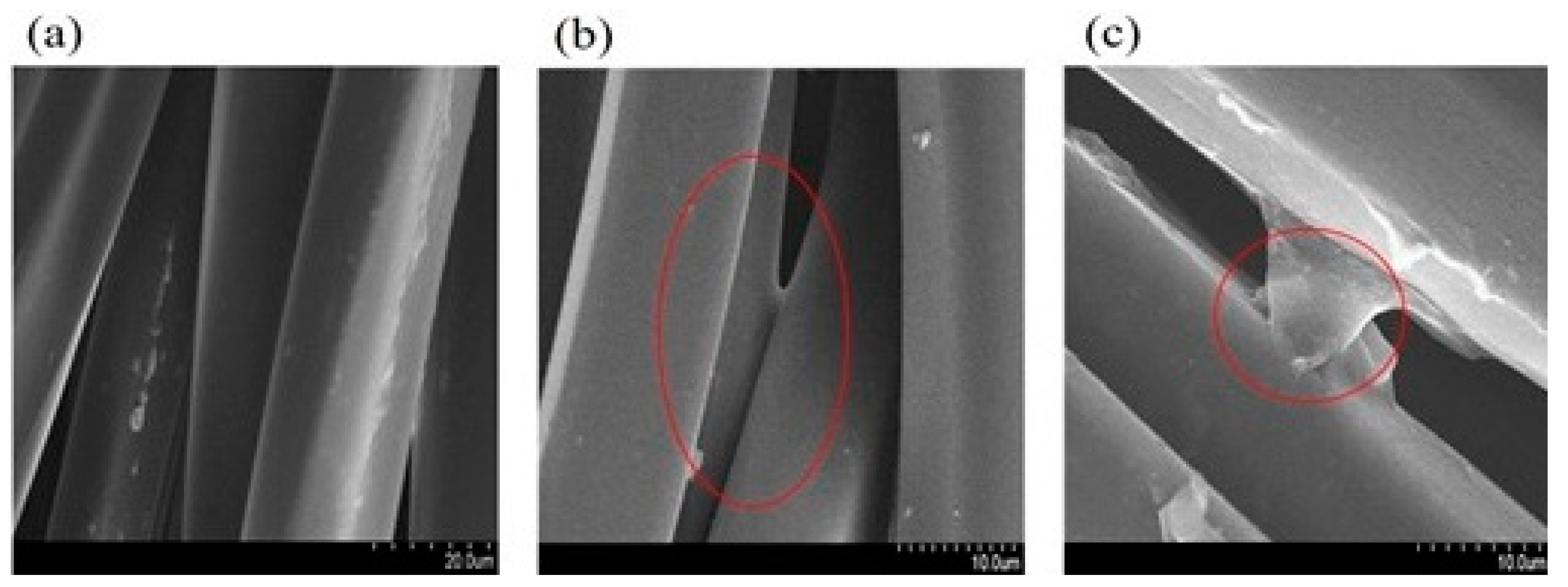 Water 13 02480 g005 550