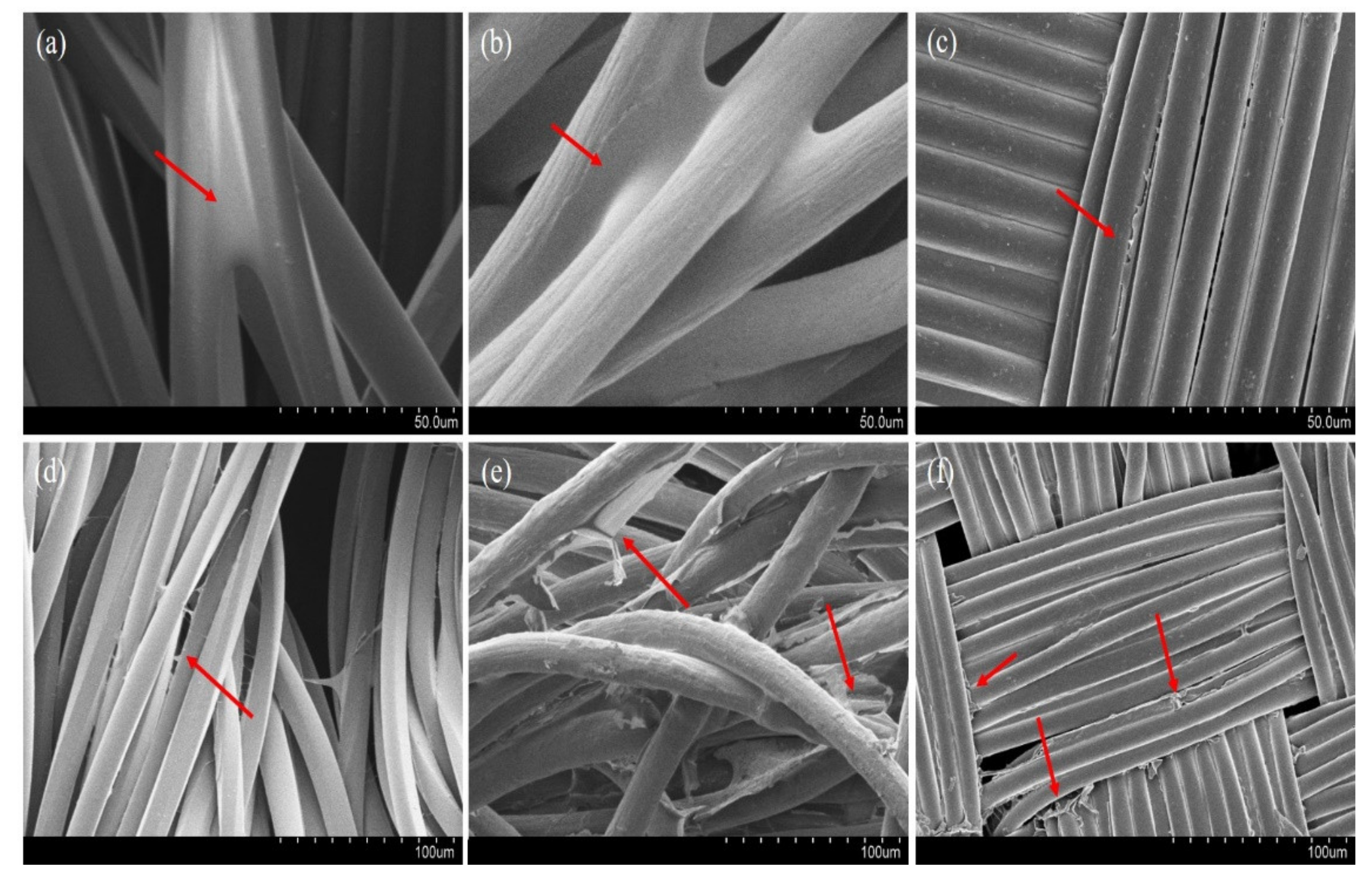 Water 13 02480 g007 550