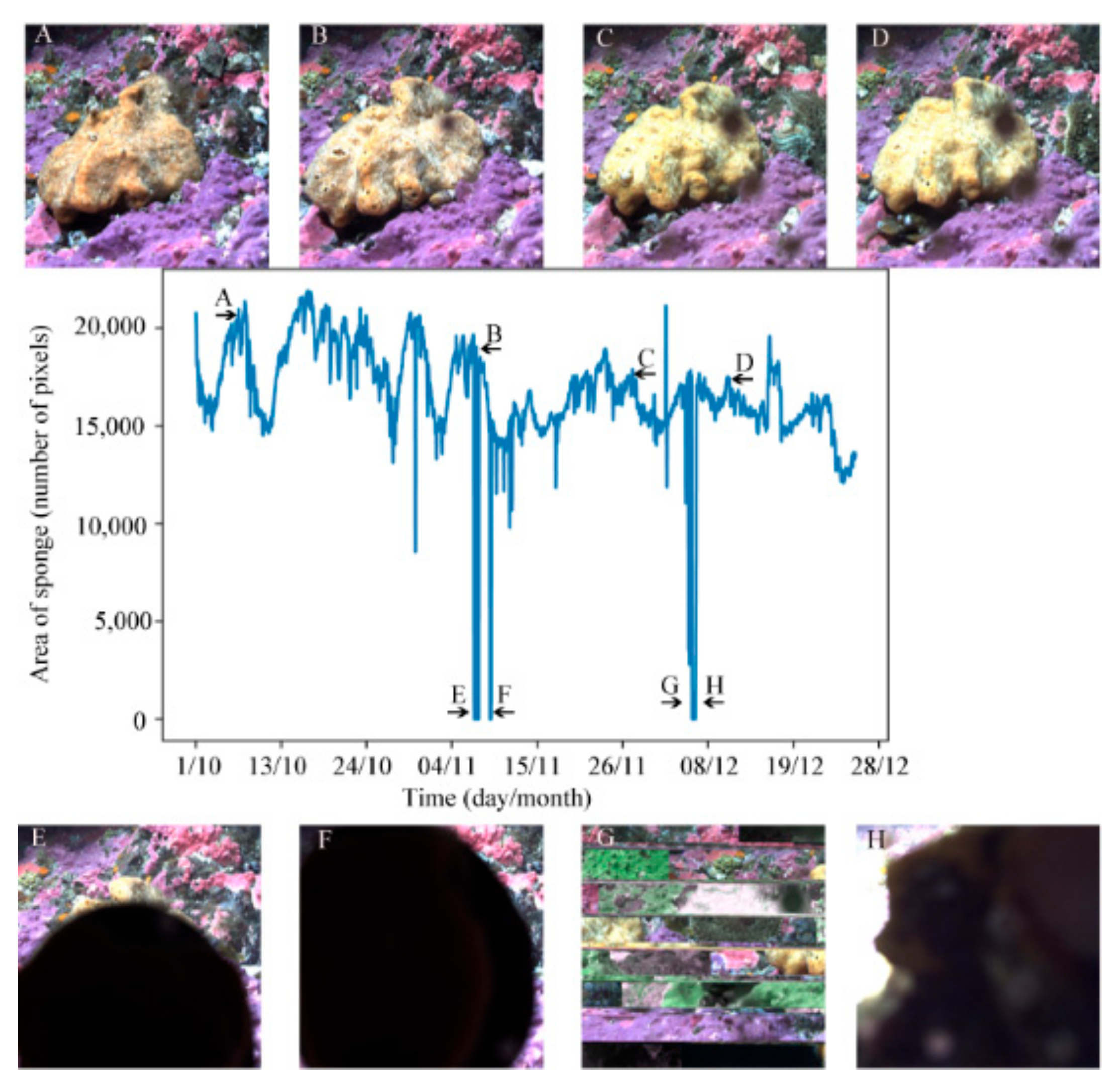 Water 13 02512 g007 550