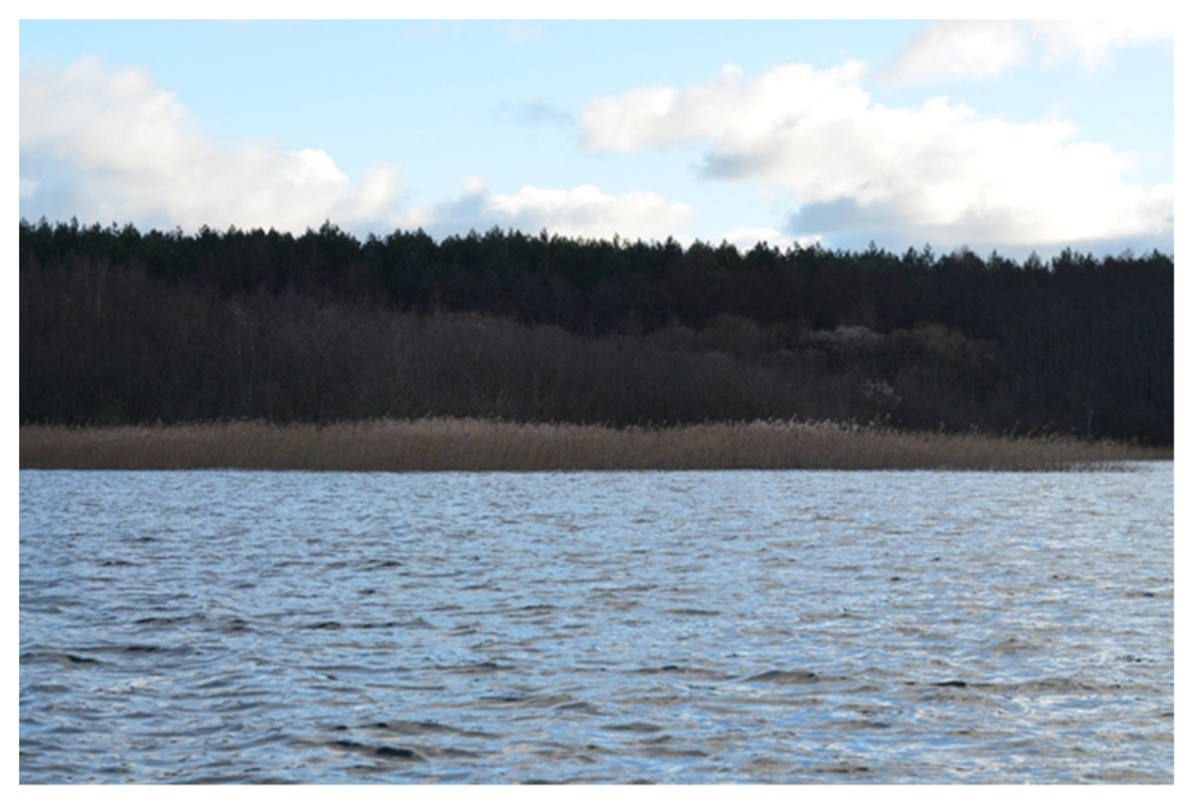 Water 13 02530 g003 Water 13 02530 g003