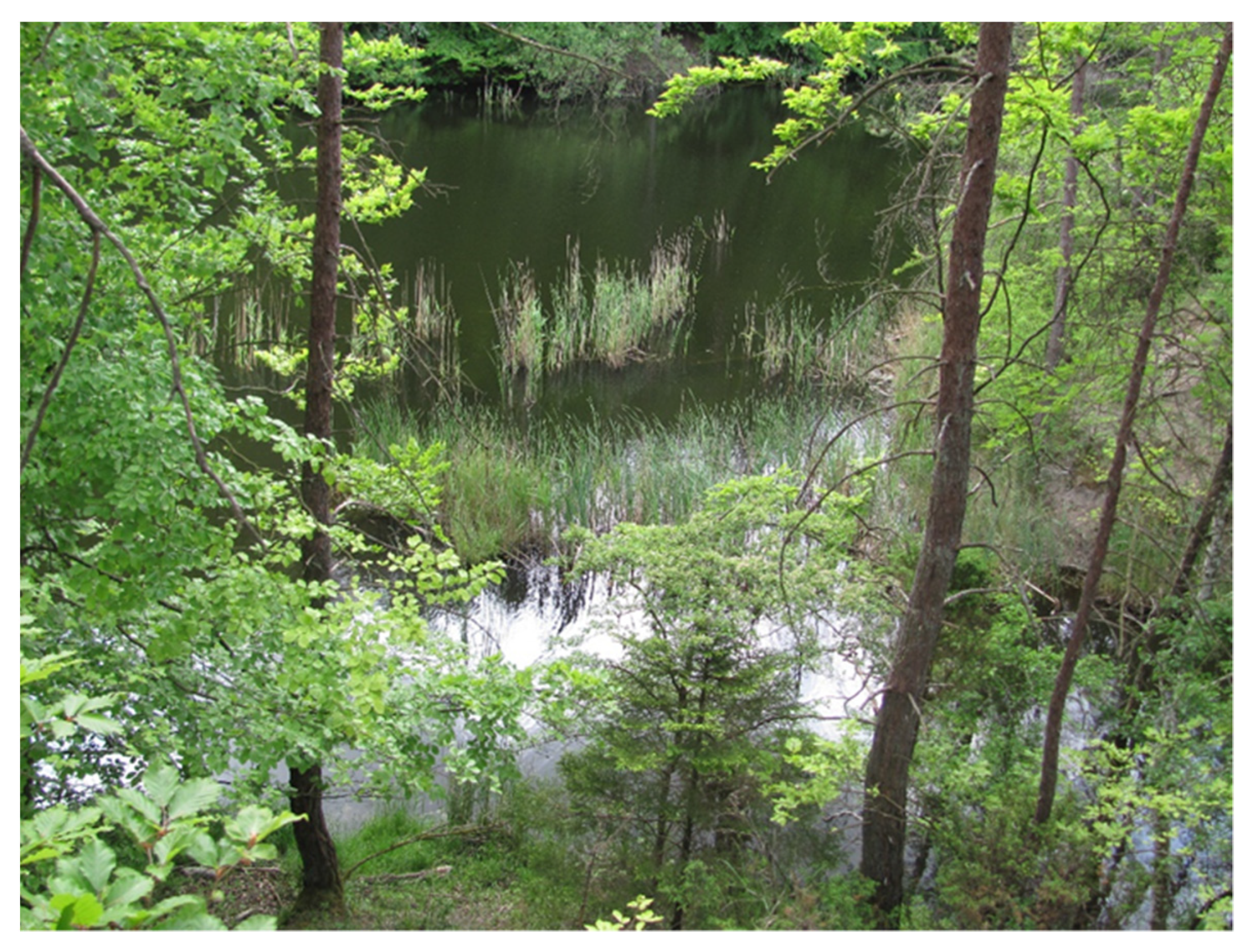 Water 13 02530 g005 Water 13 02530 g005