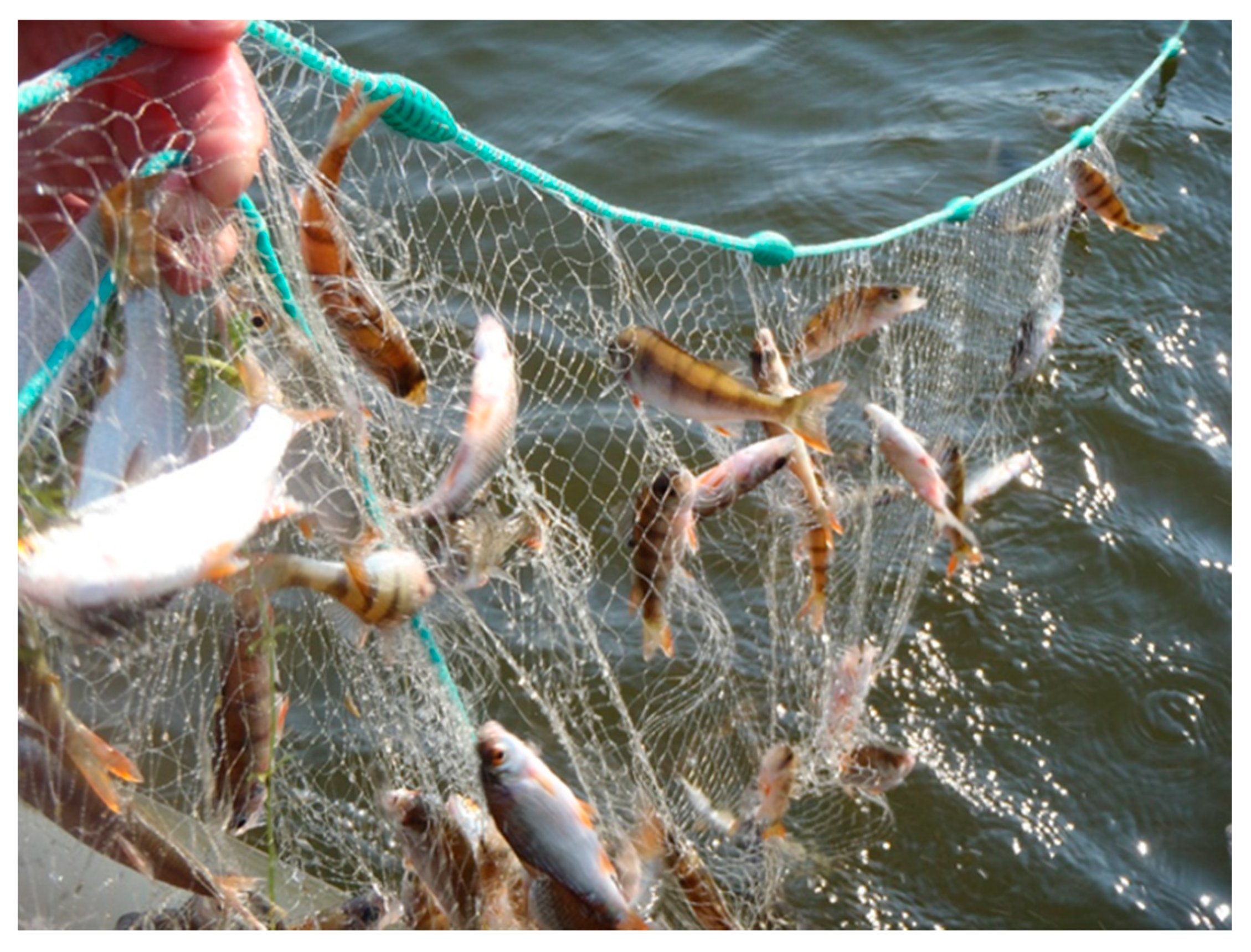 Water 13 02530 g006 Water 13 02530 g006