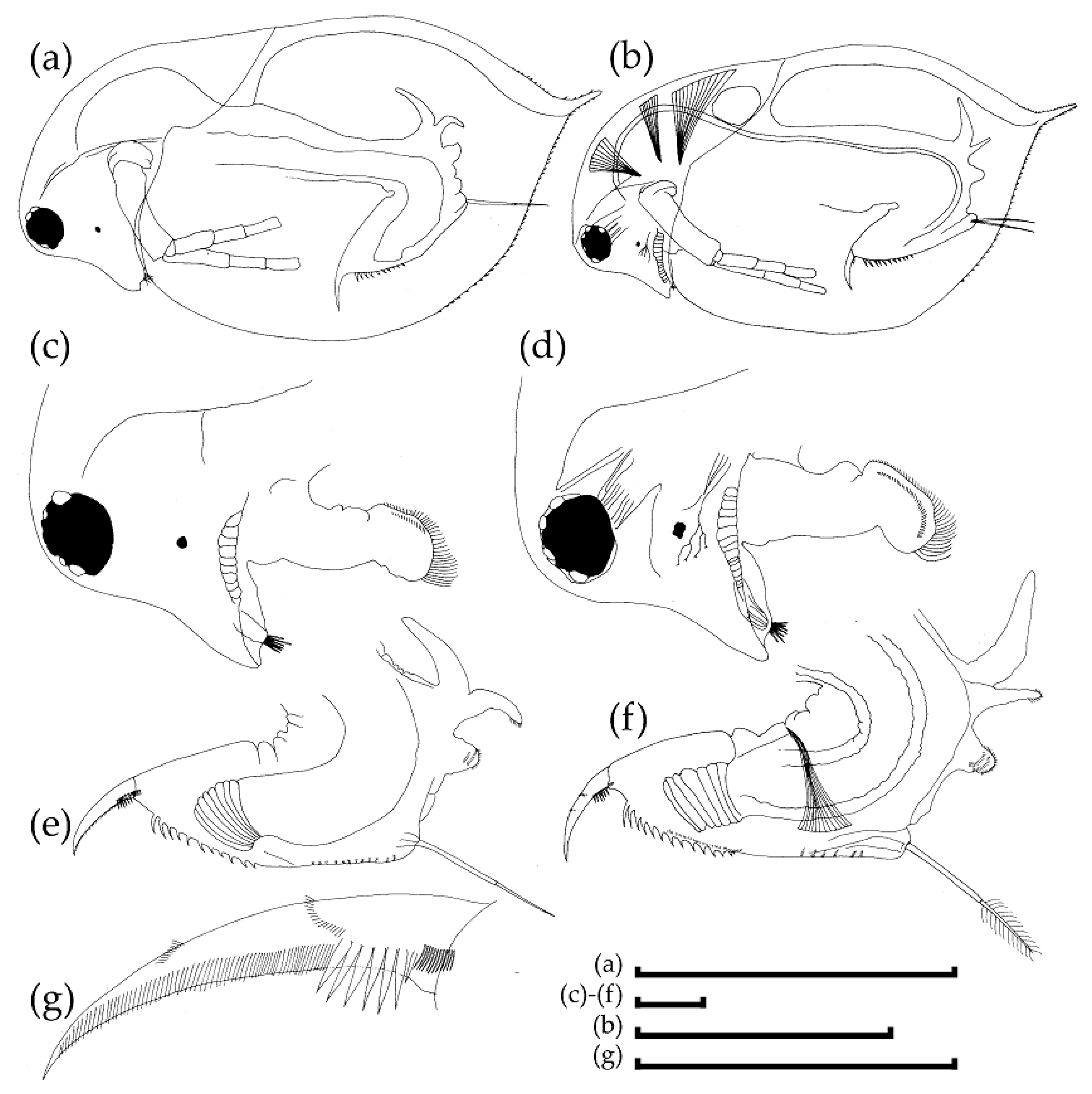 Water 13 02589 g005 Water 13 02589 g005