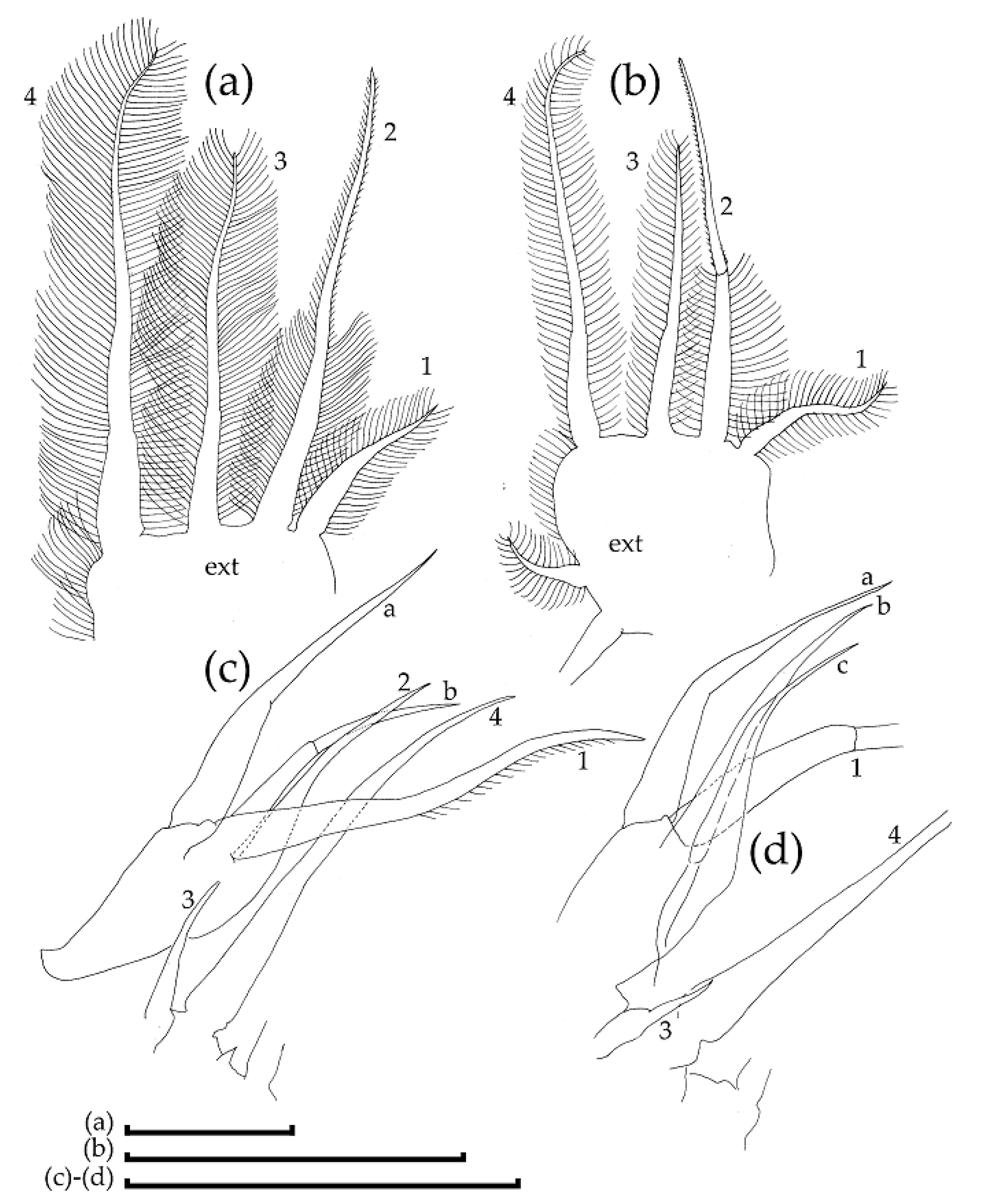 Water 13 02589 g006 Water 13 02589 g006