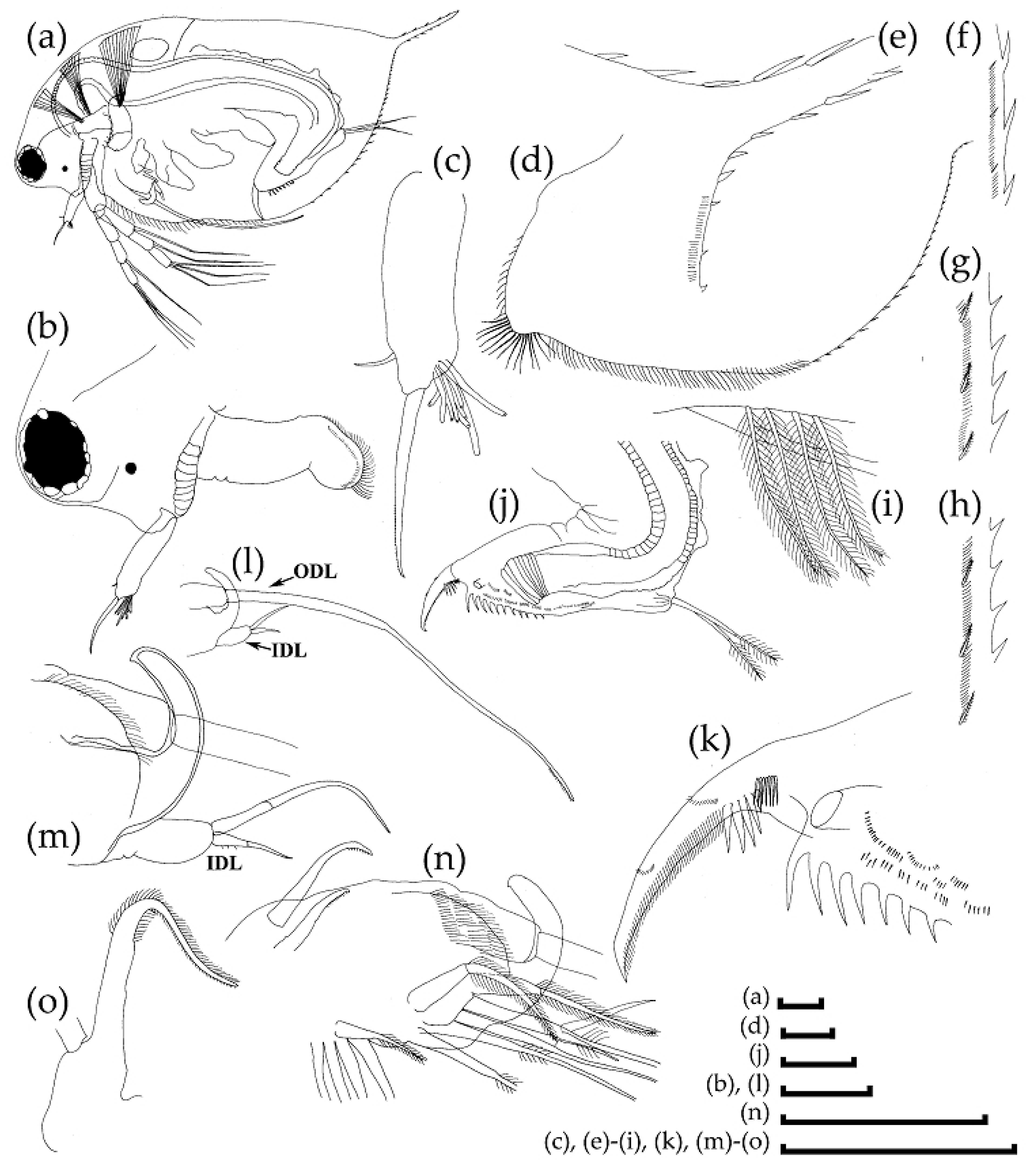 Water 13 02589 g007 Water 13 02589 g007