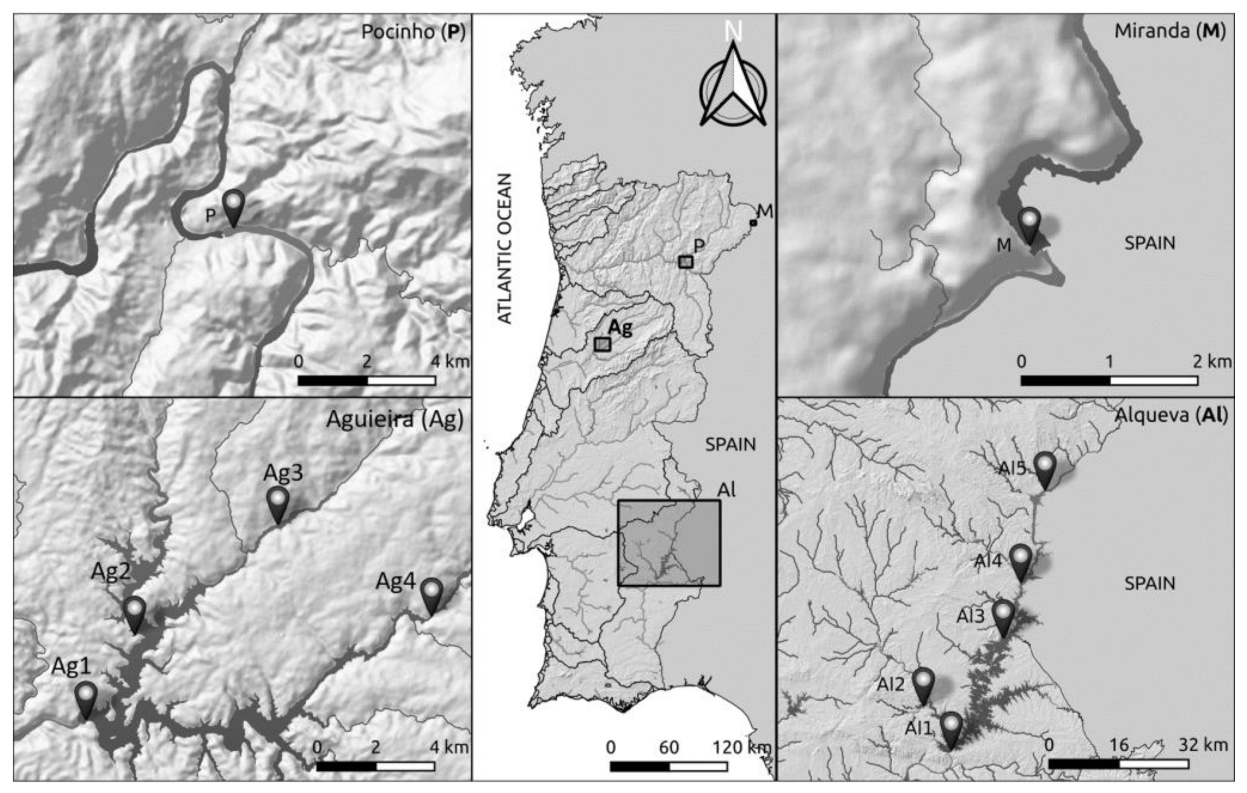 Water 13 02605 g001 550