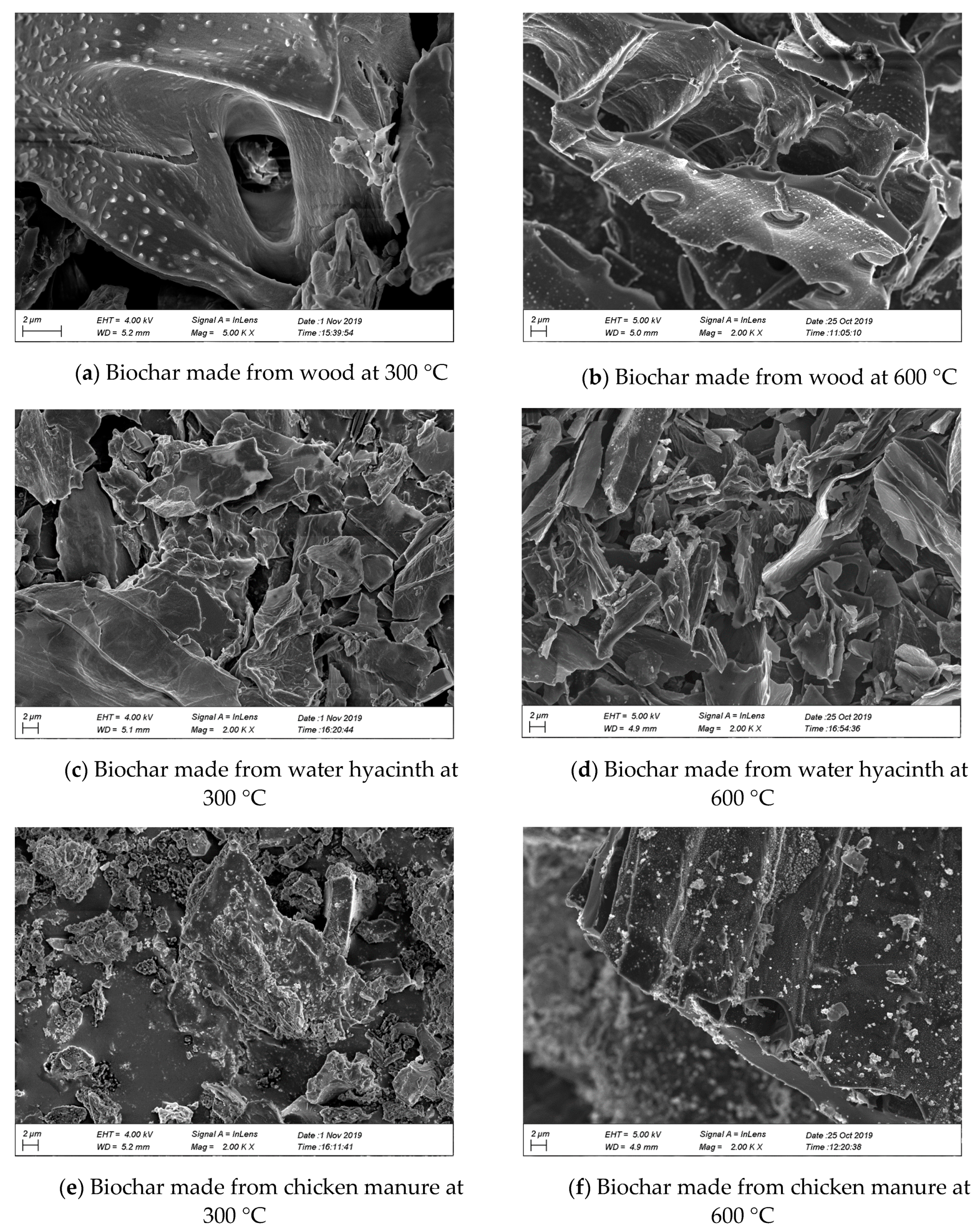 Water 13 02613 g003 550