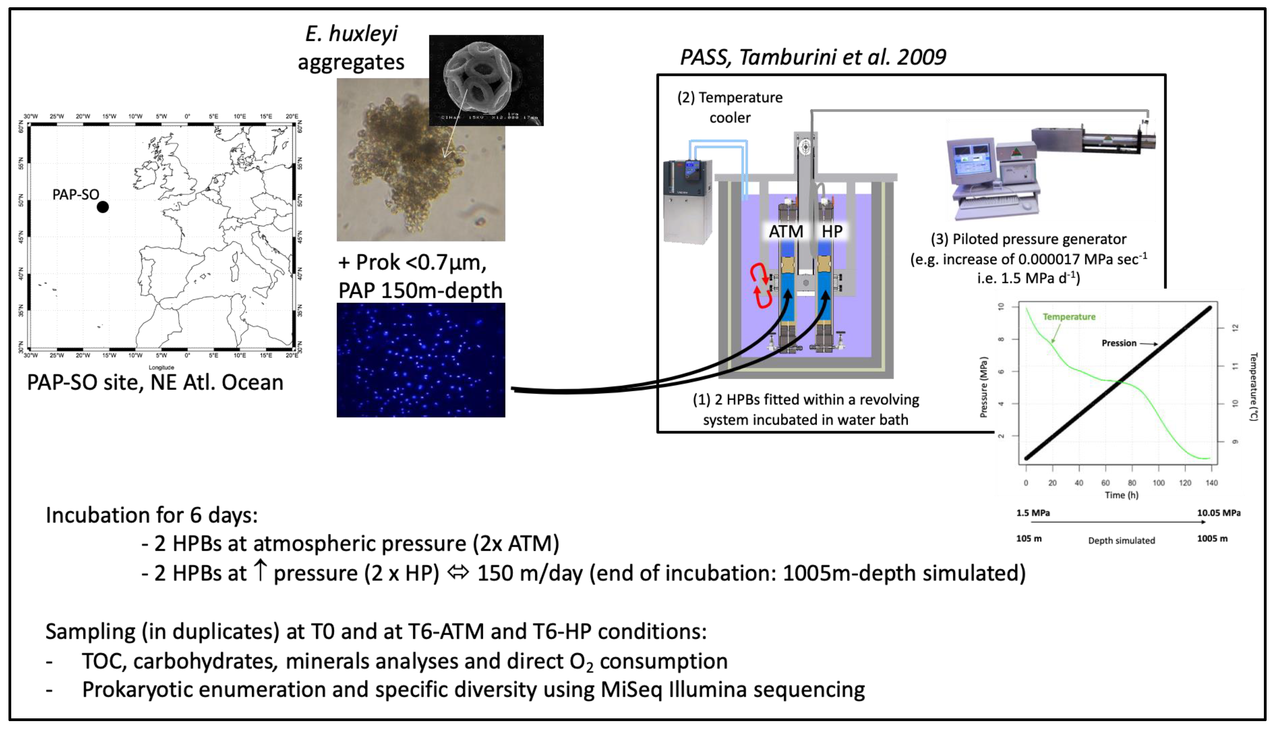 Water 13 02616 g001 Water 13 02616 g001