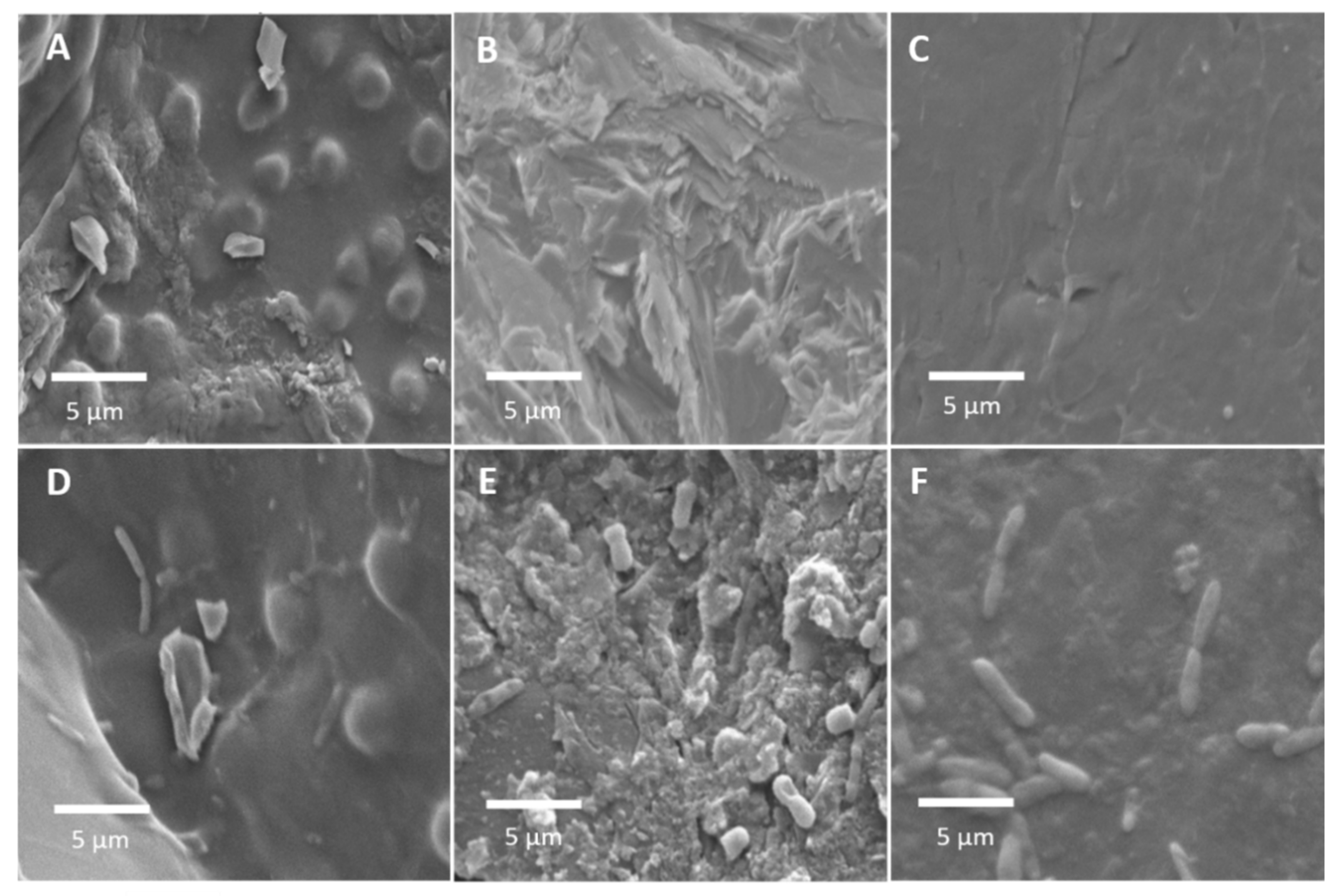 Water 13 02703 g006 550