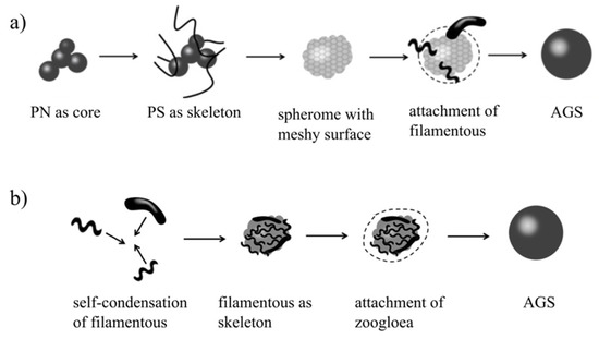 Table 2.2 from ENHANCED AEROBIC SLUDGE GRANULATION IN CYCLIC