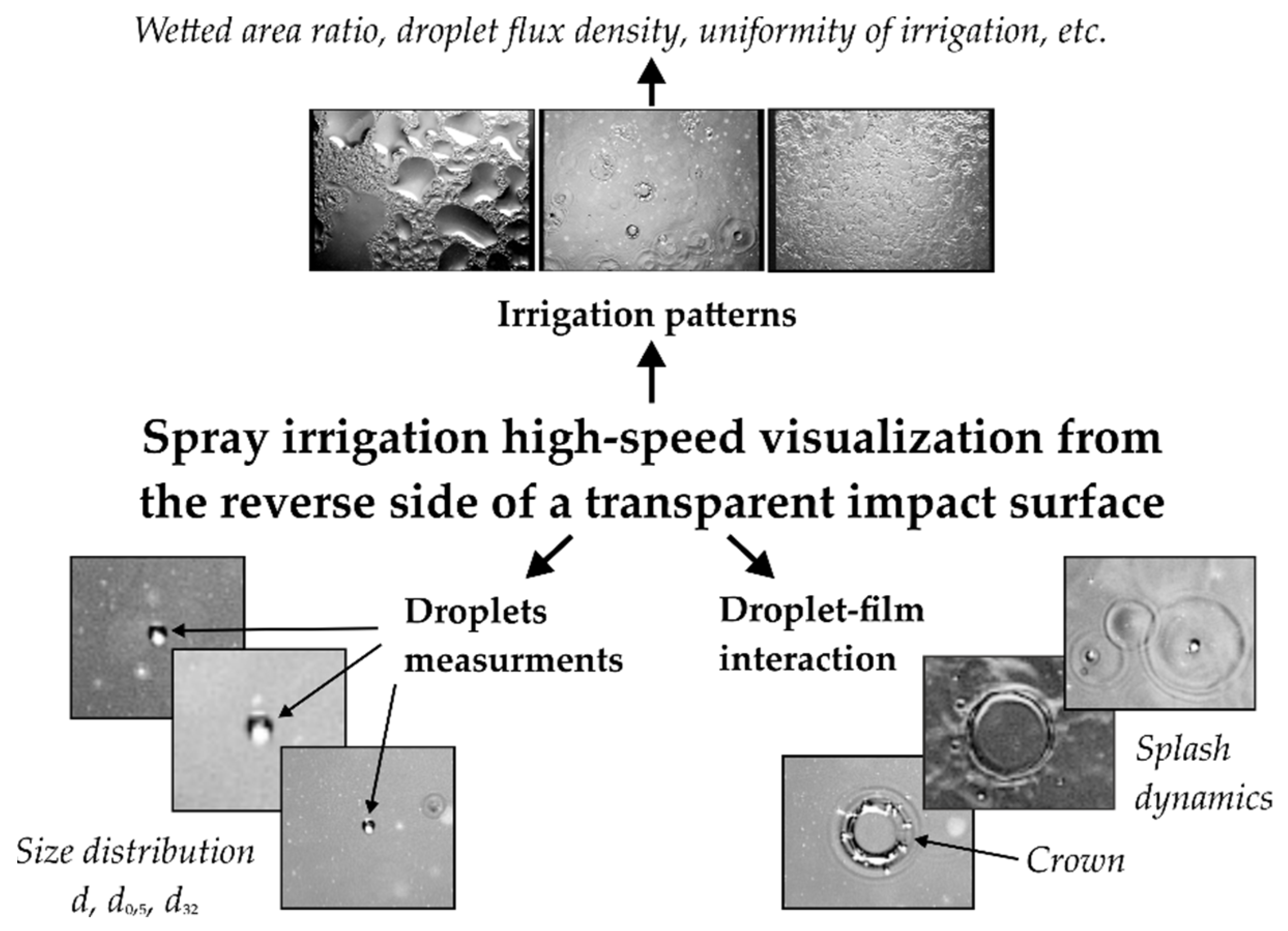 Water 13 02730 g003 550