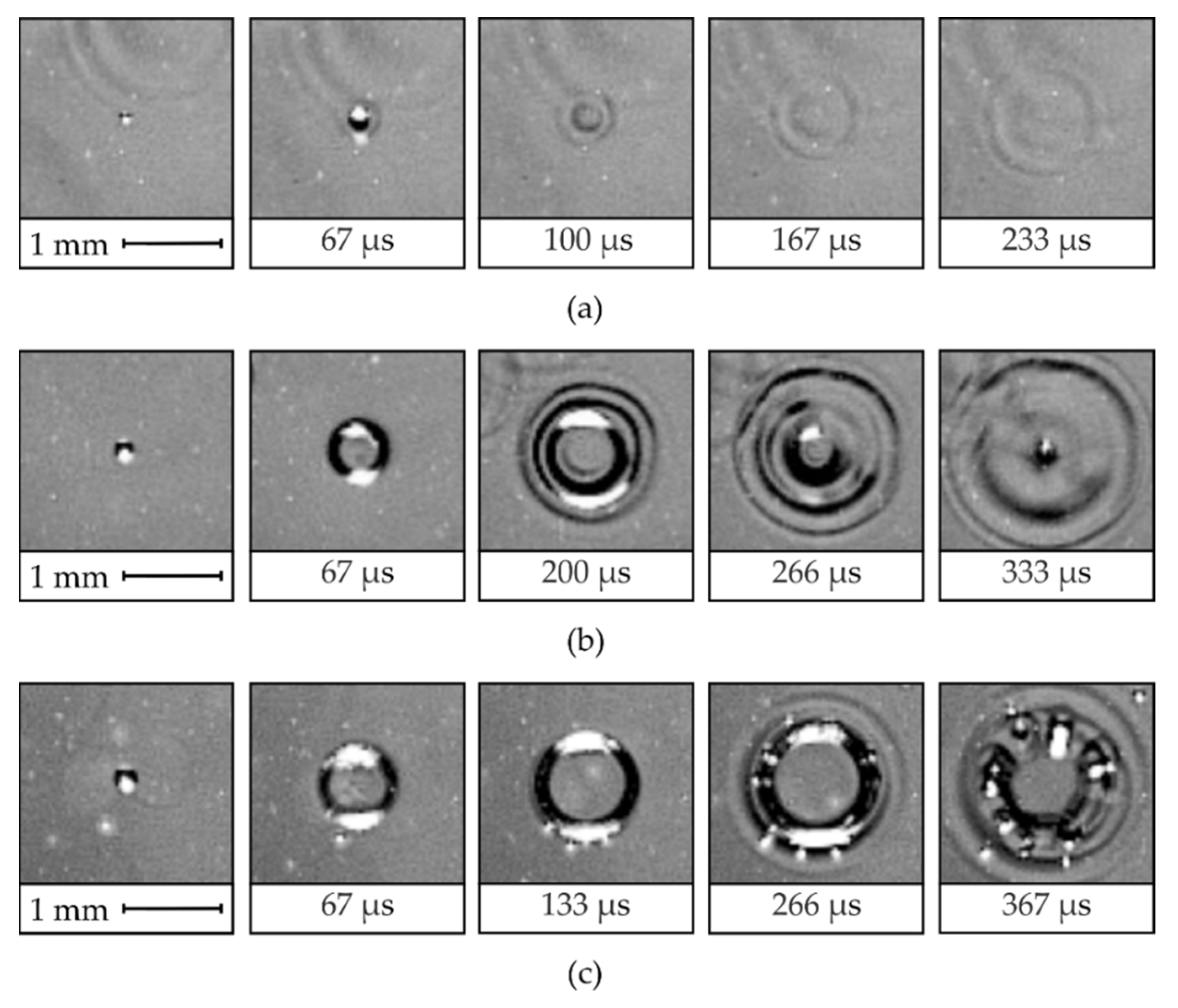 Water 13 02730 g006 550